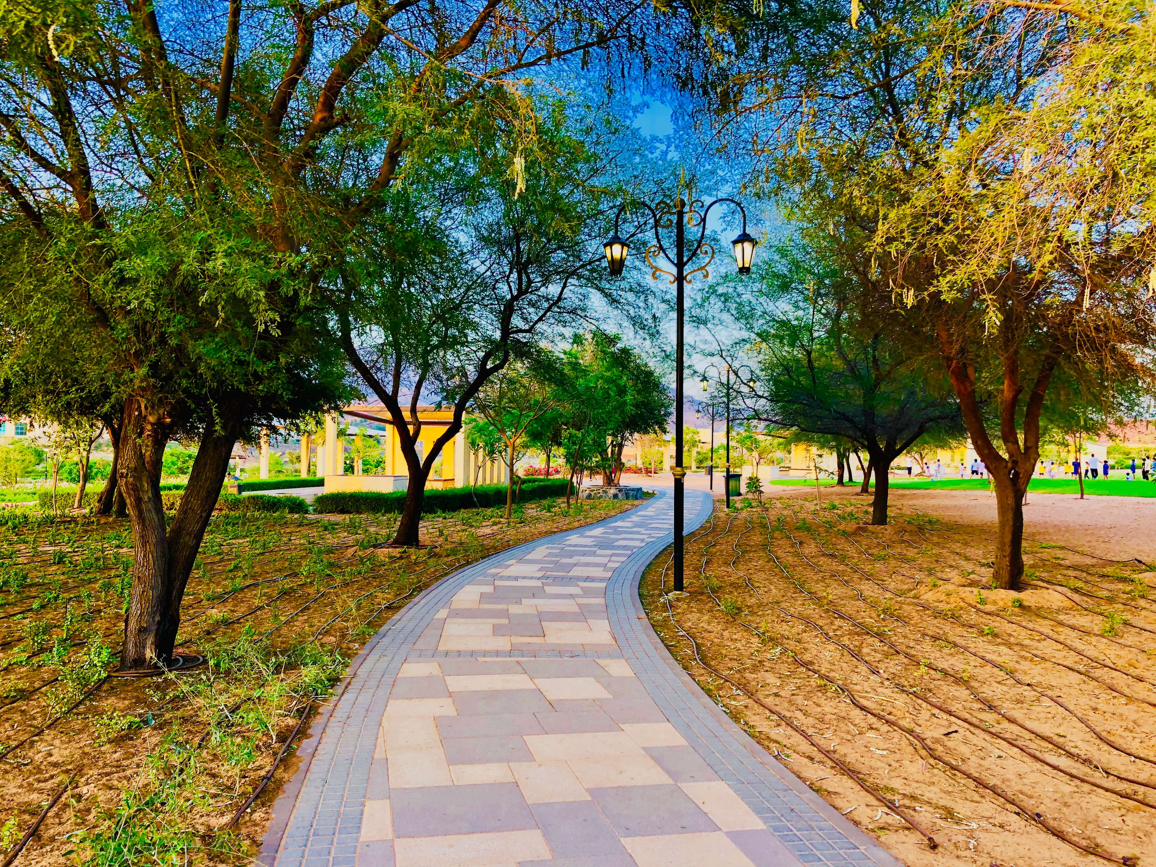 Wadi Hatta Park