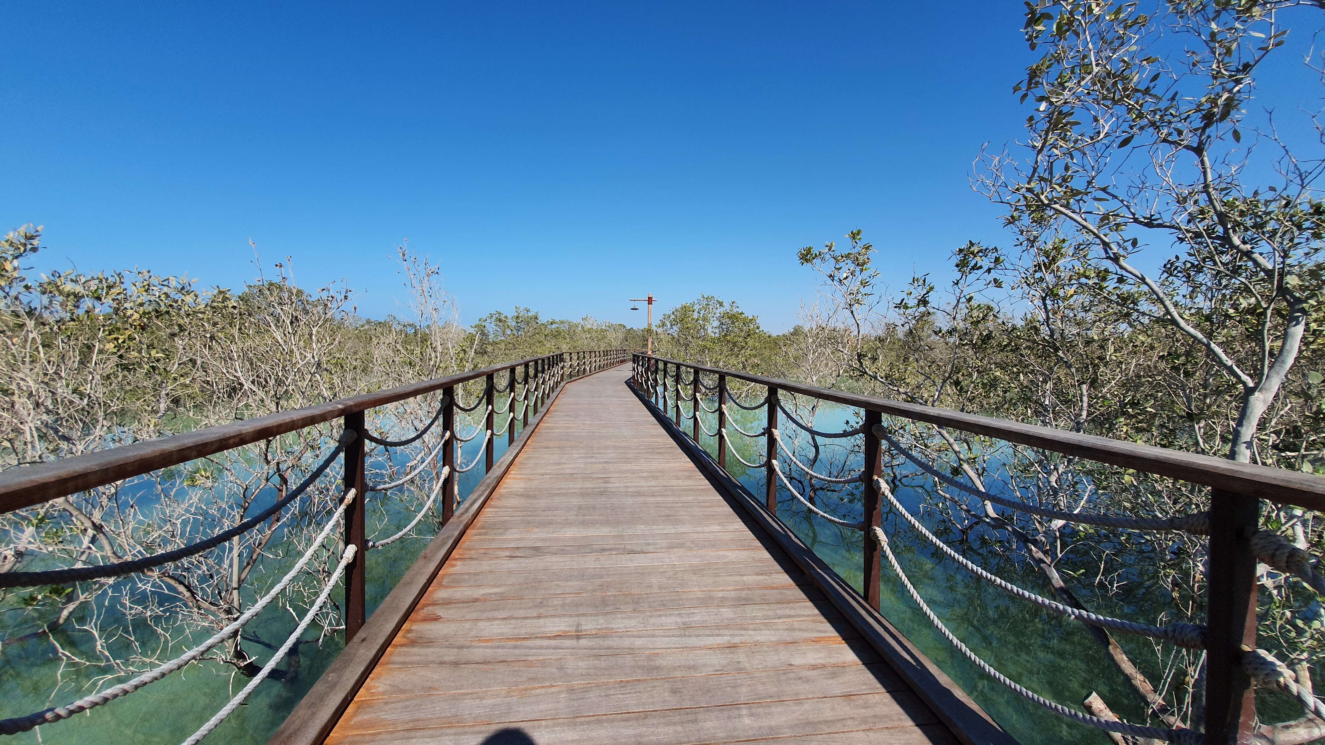 Jubail Mangrove Park