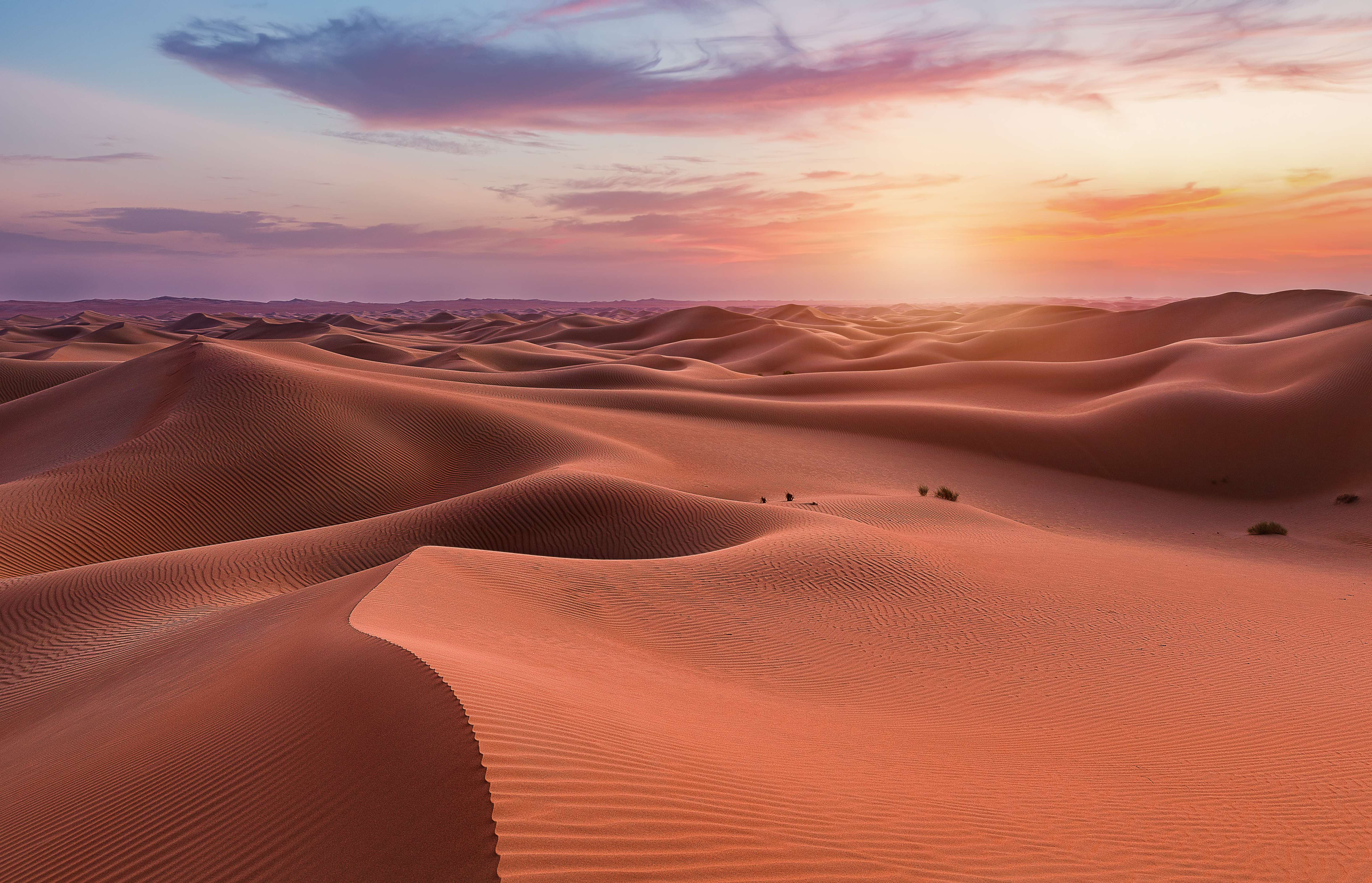 The Empty Quarter
