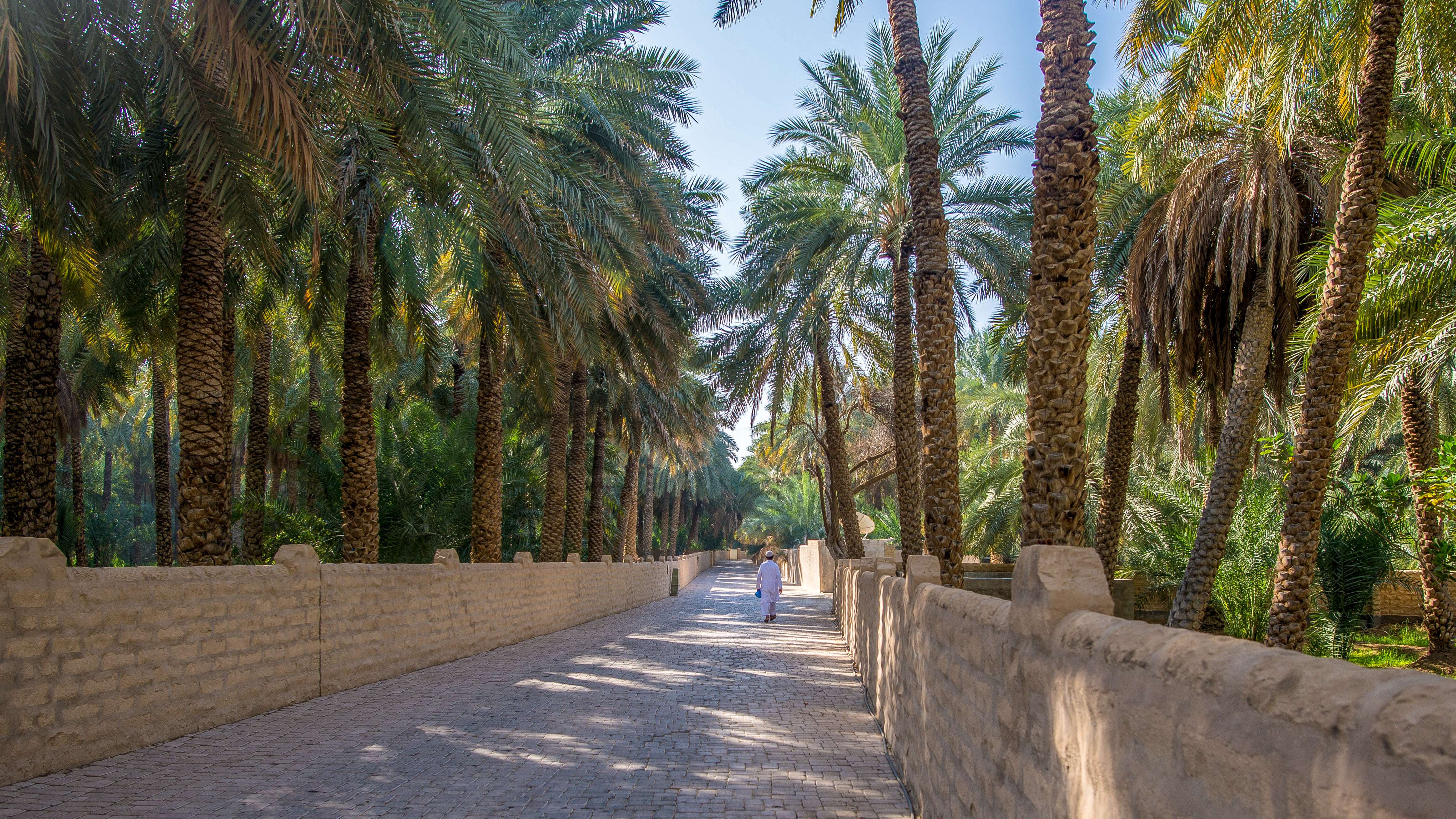 Al Ain Oasis