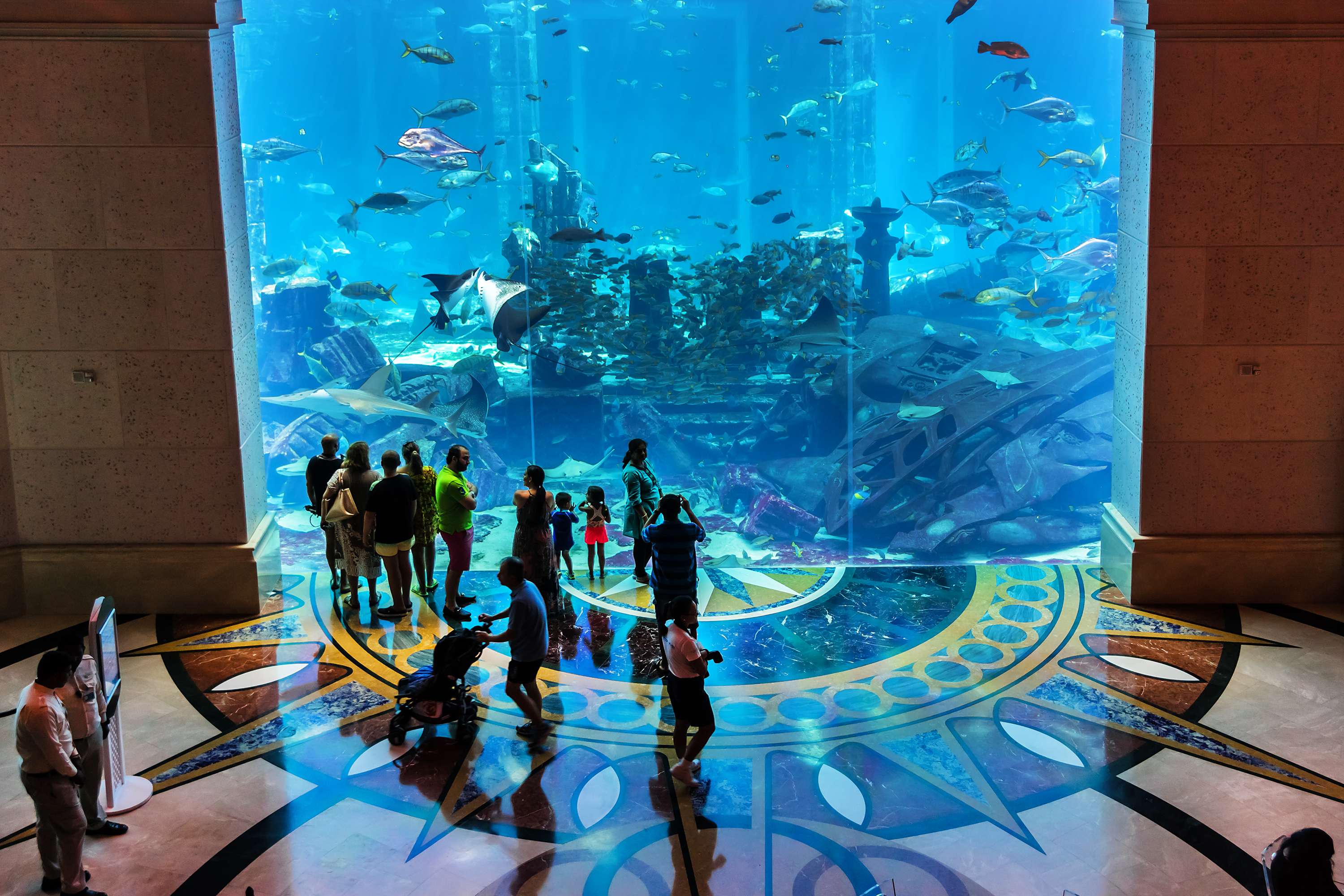 Visit Dubai Aquarium & Underwater Zoo