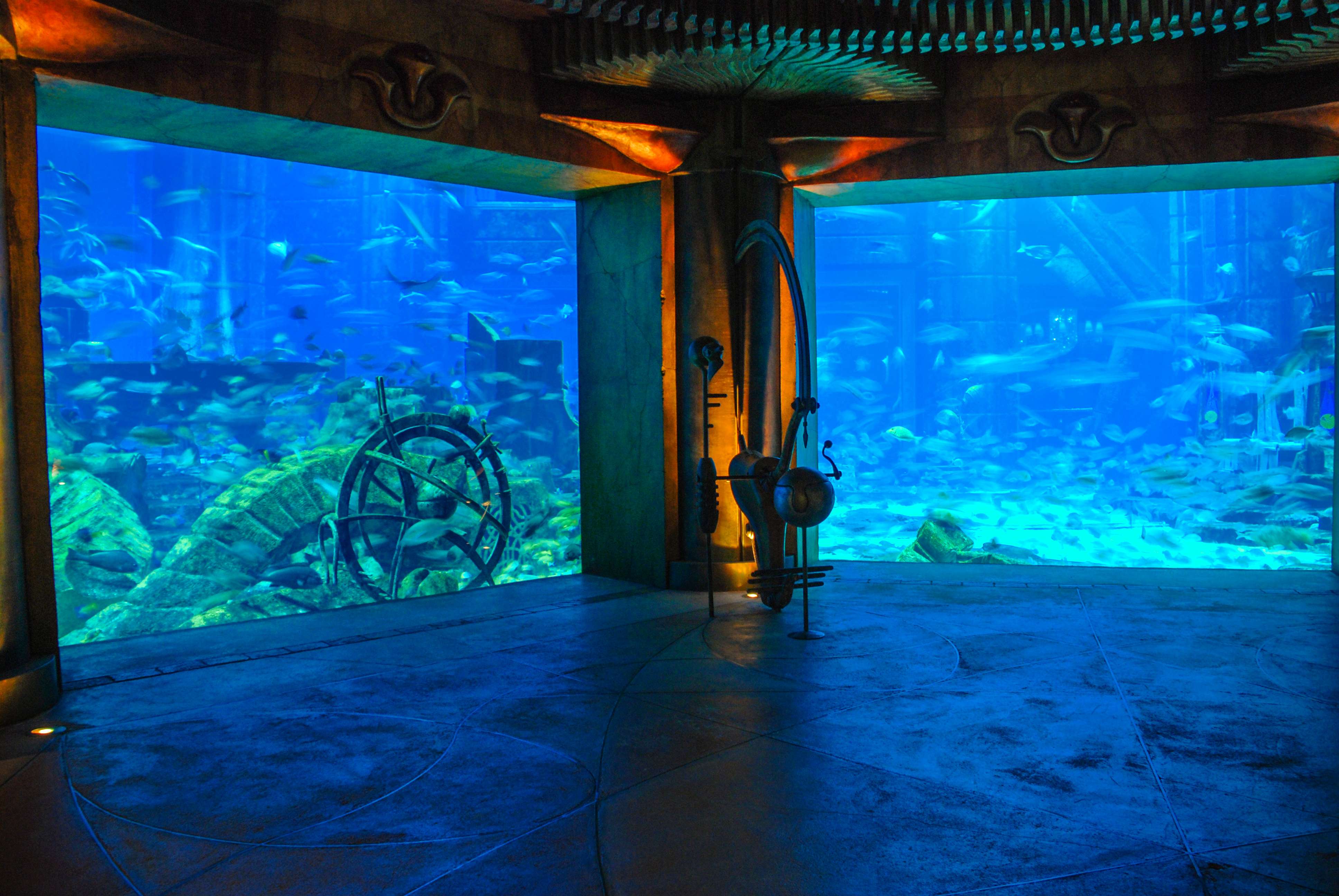 The Lost Chambers Aquarium