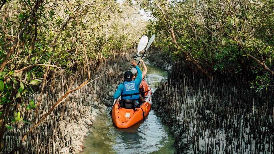 Abu Dhabi National Mangrove Park    