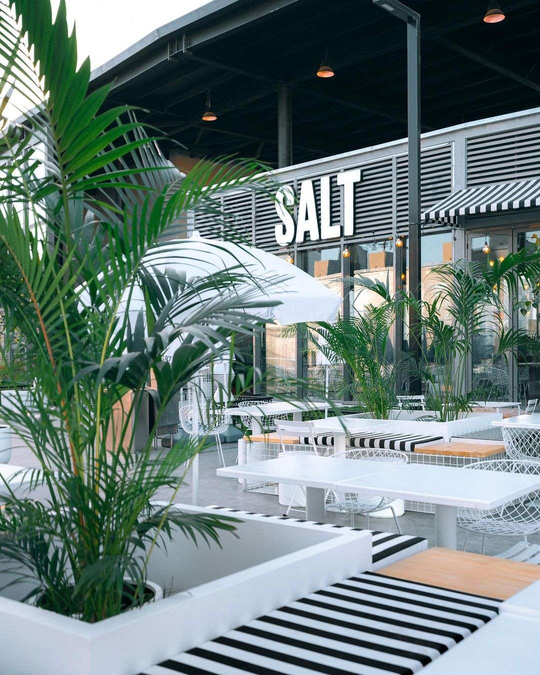 SALT Dubai Marina