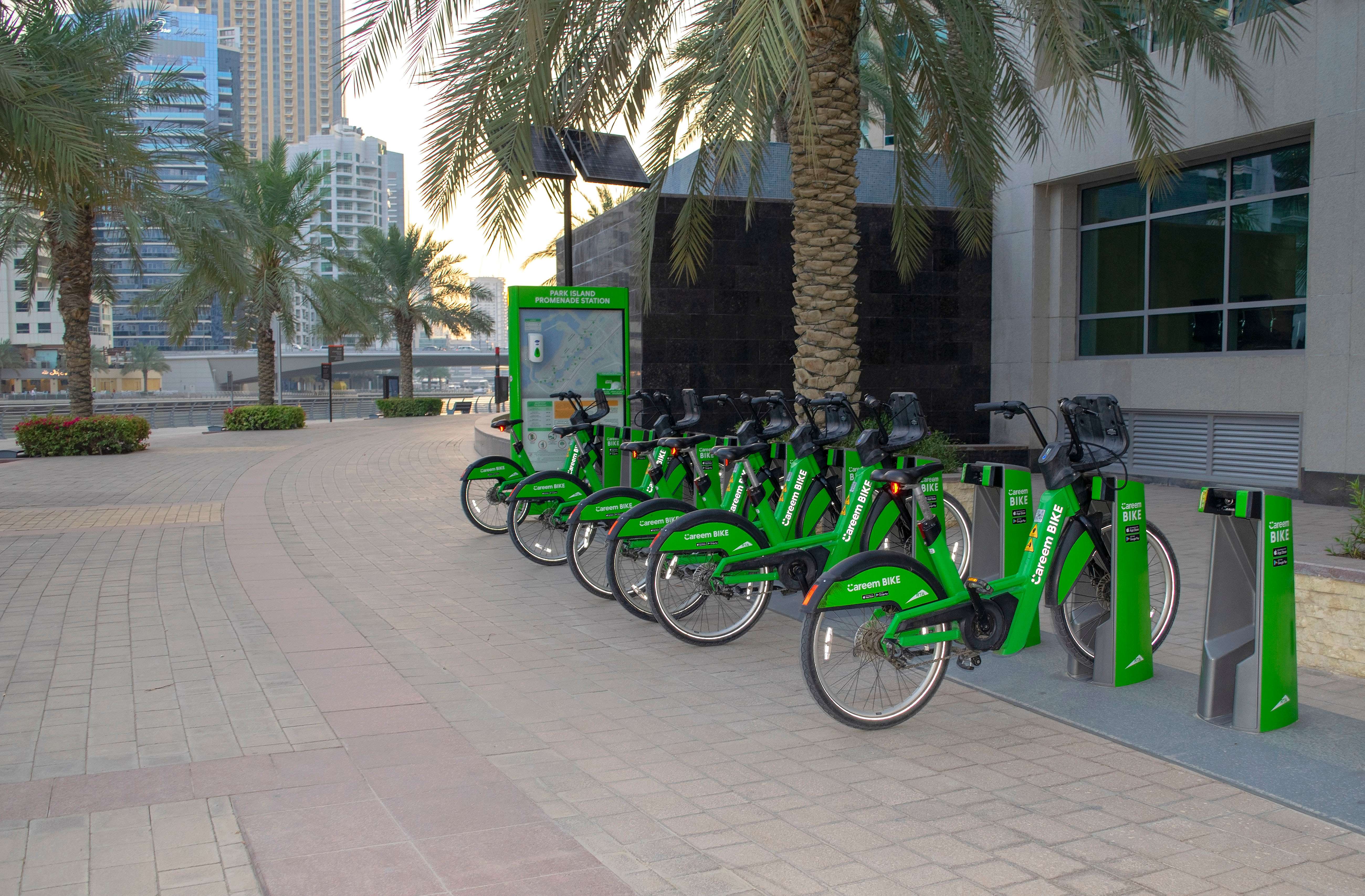 Rent a Cycle and Stroll