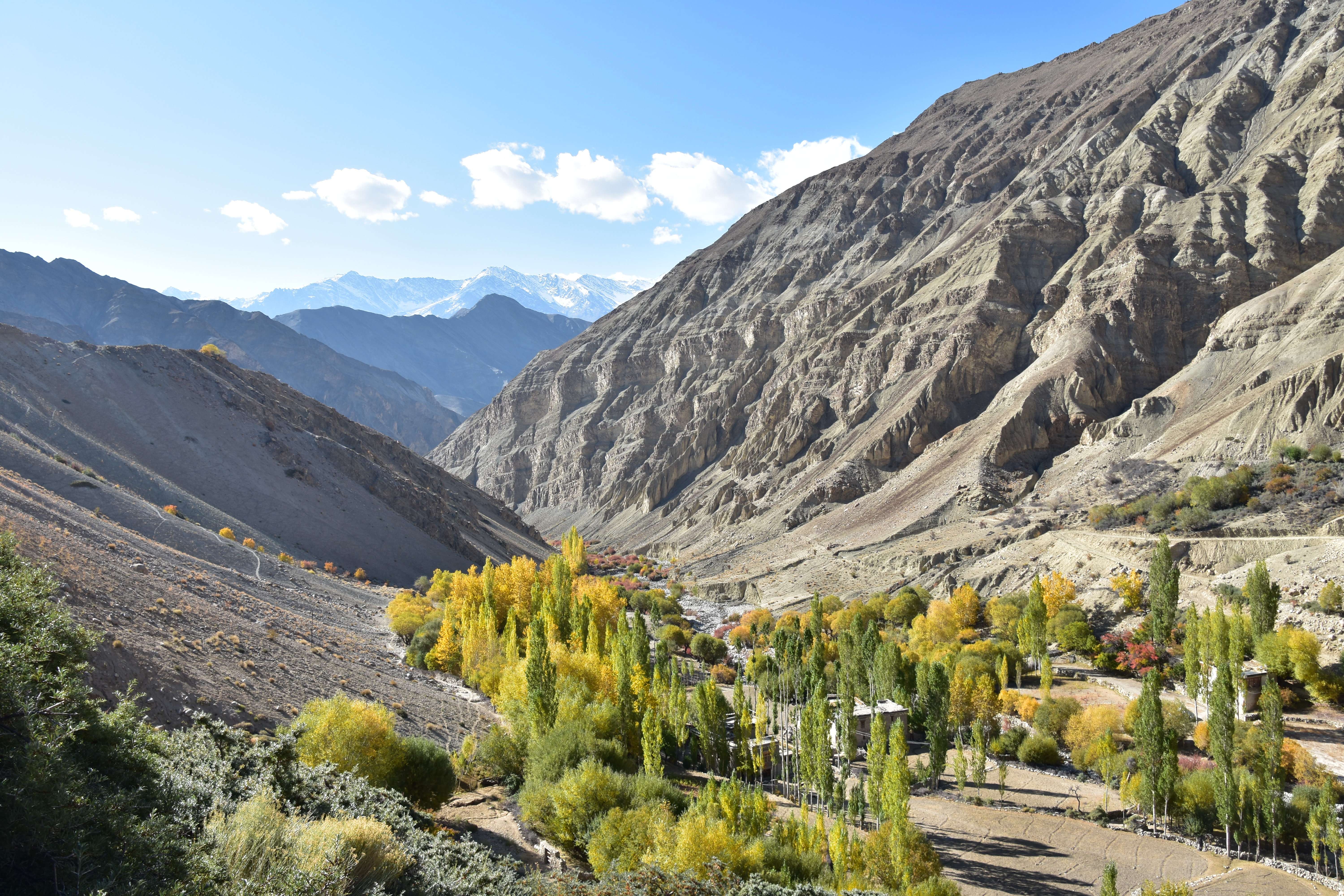 Day 2: Leh to Sham Valley 