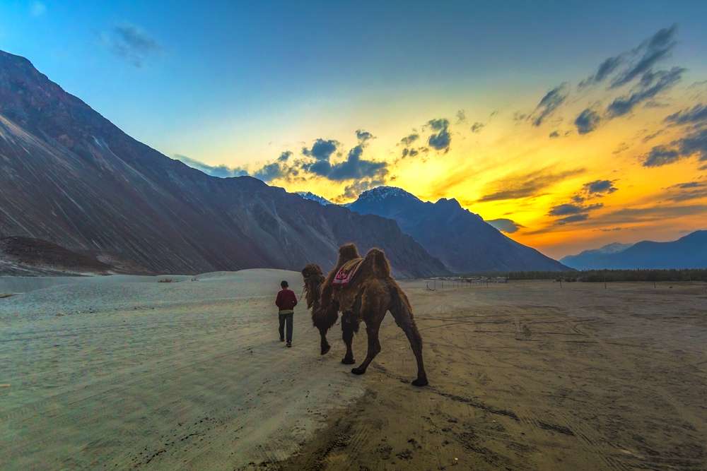 Nubra Valley