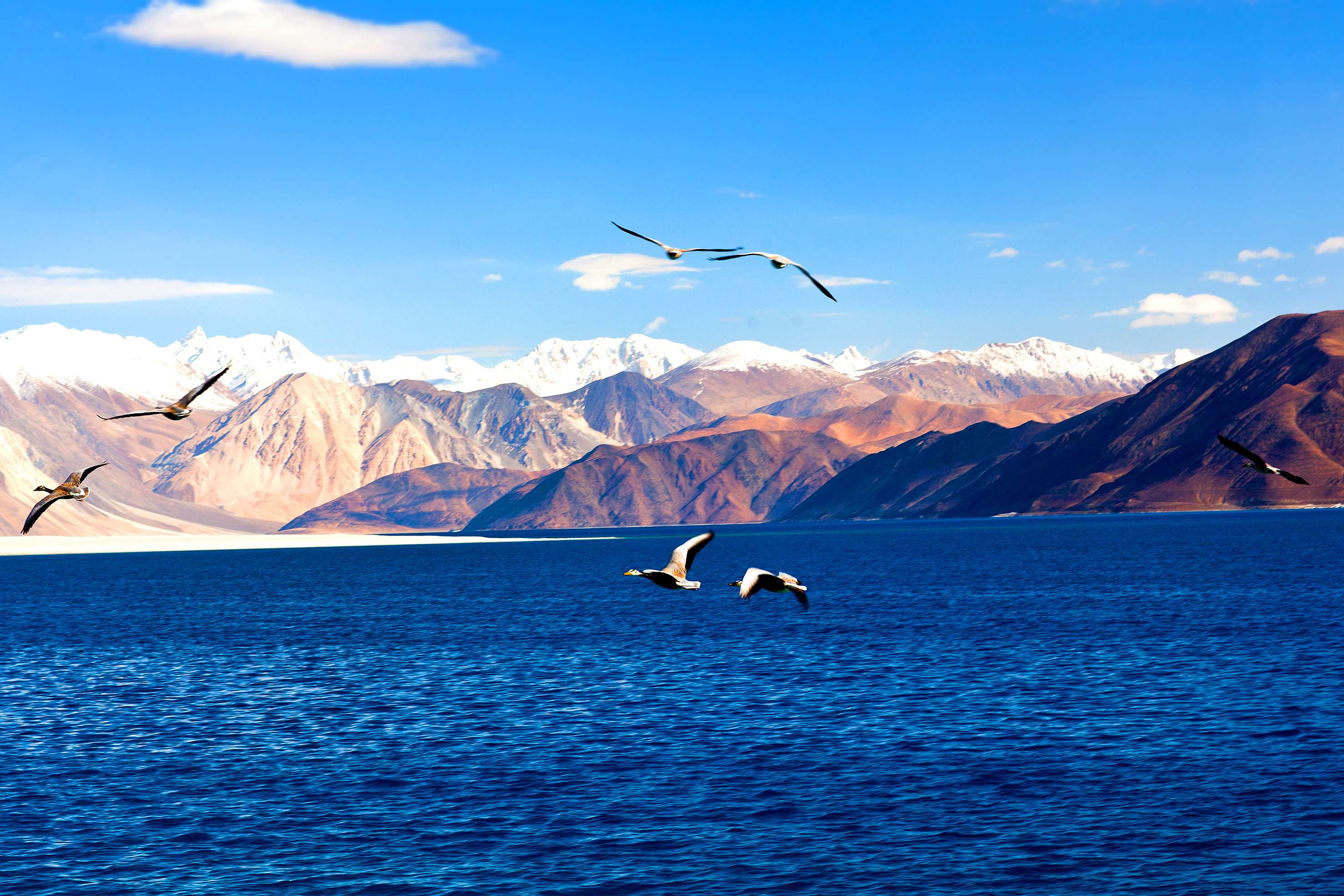 Pangong Lake