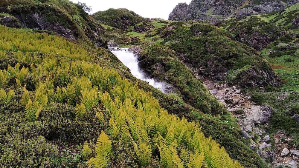 Doodh Ganga and Neelnag