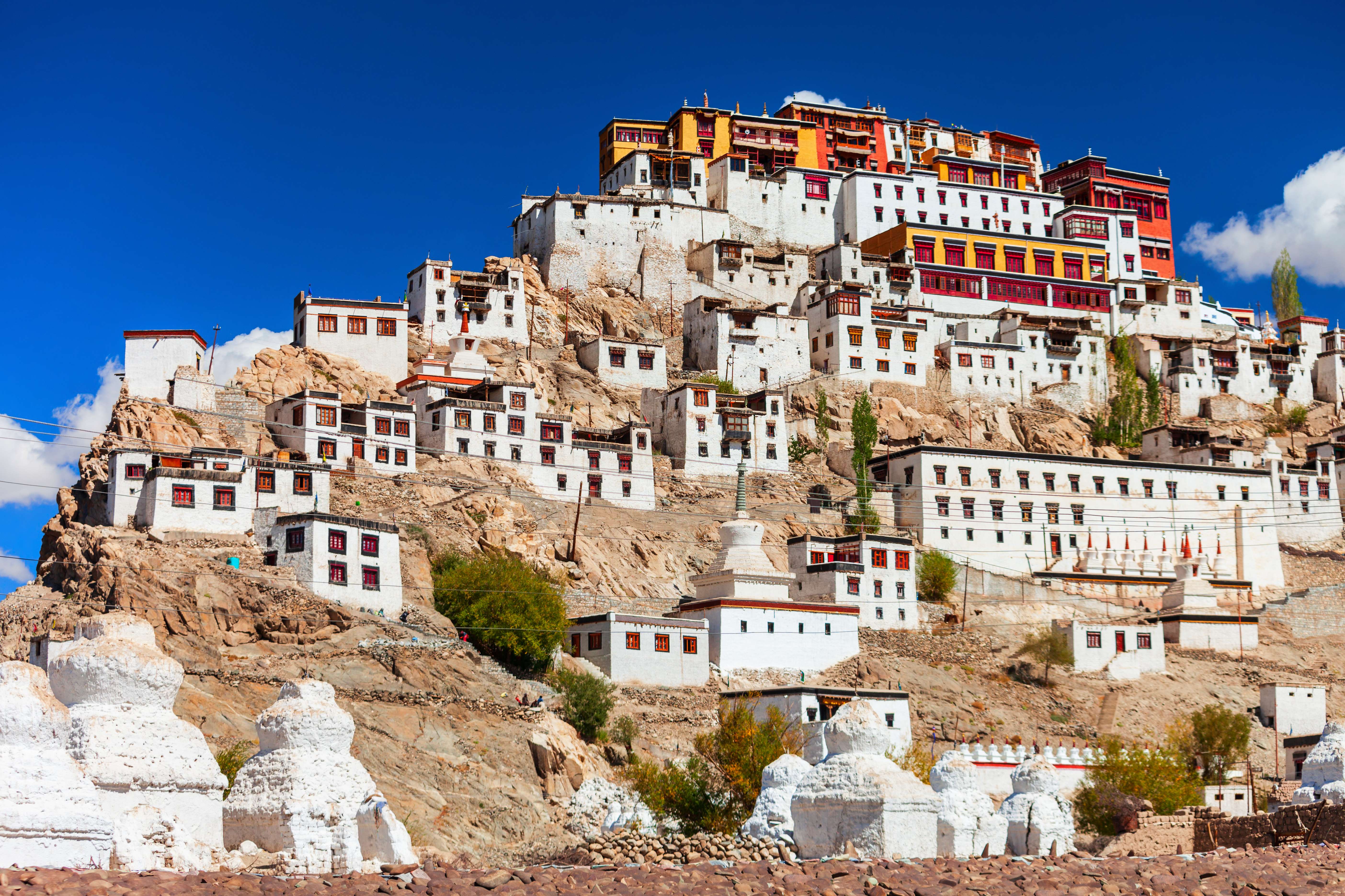 Leh Palace