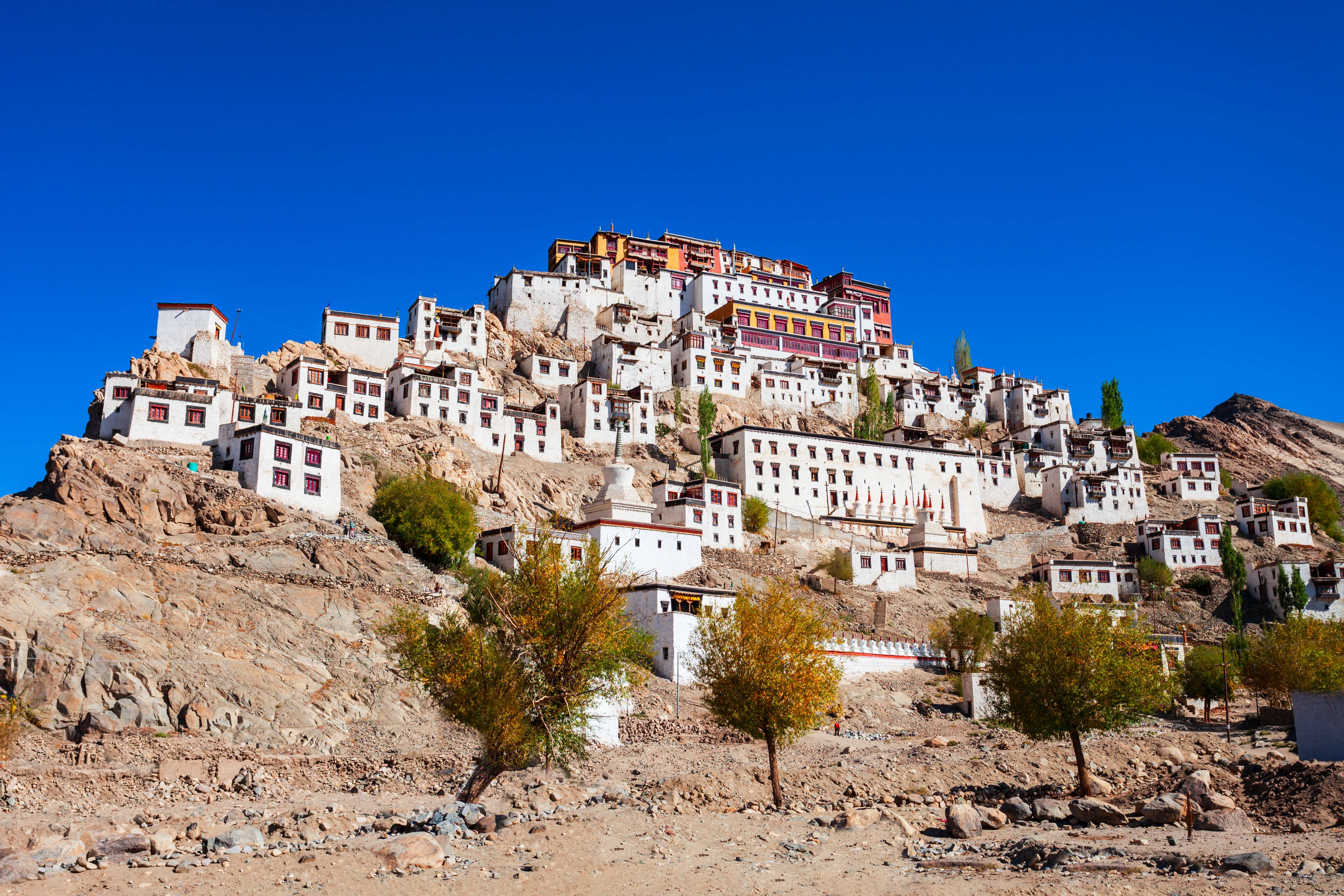 Thiksey Monastery