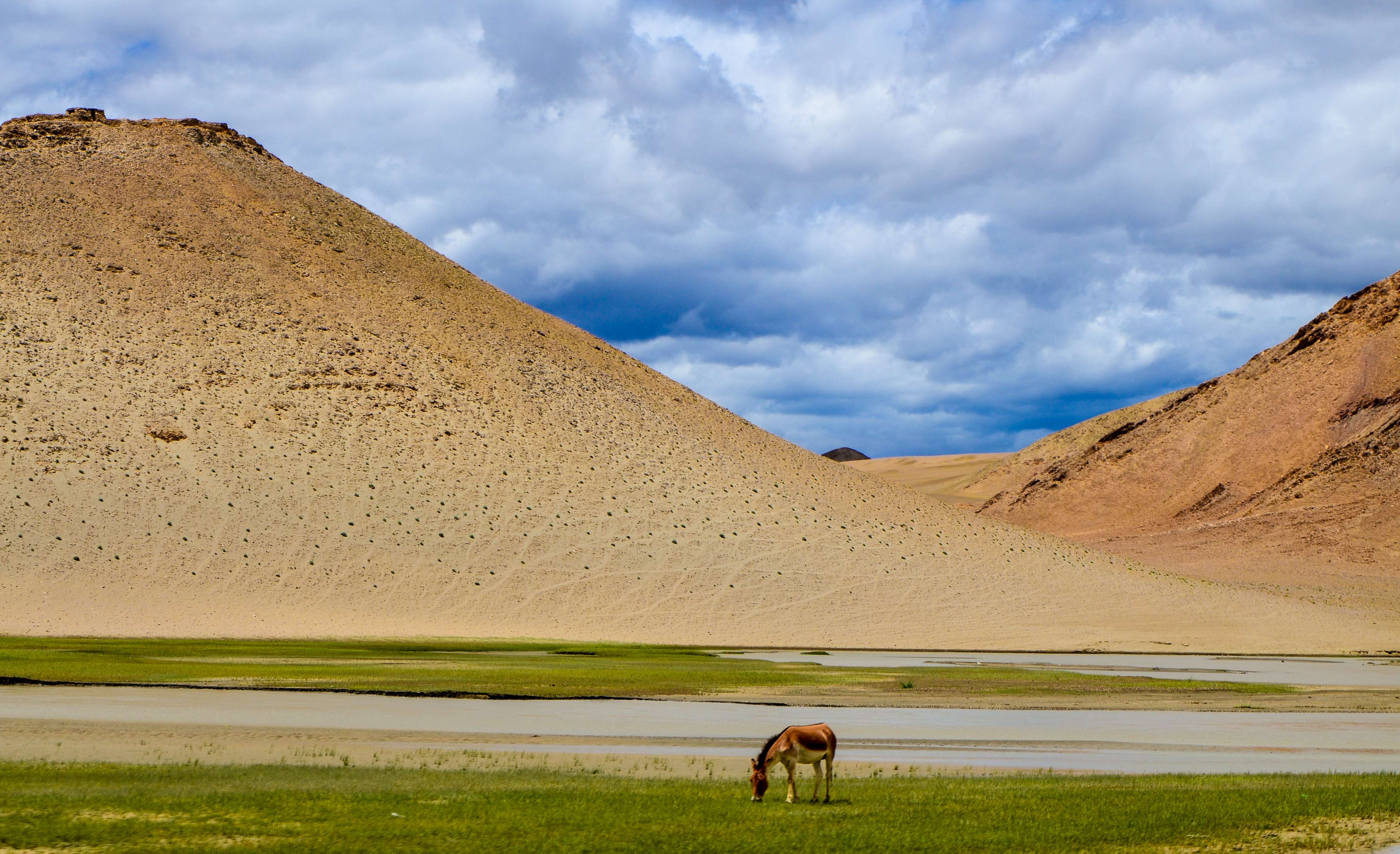  Weather and Temperature 