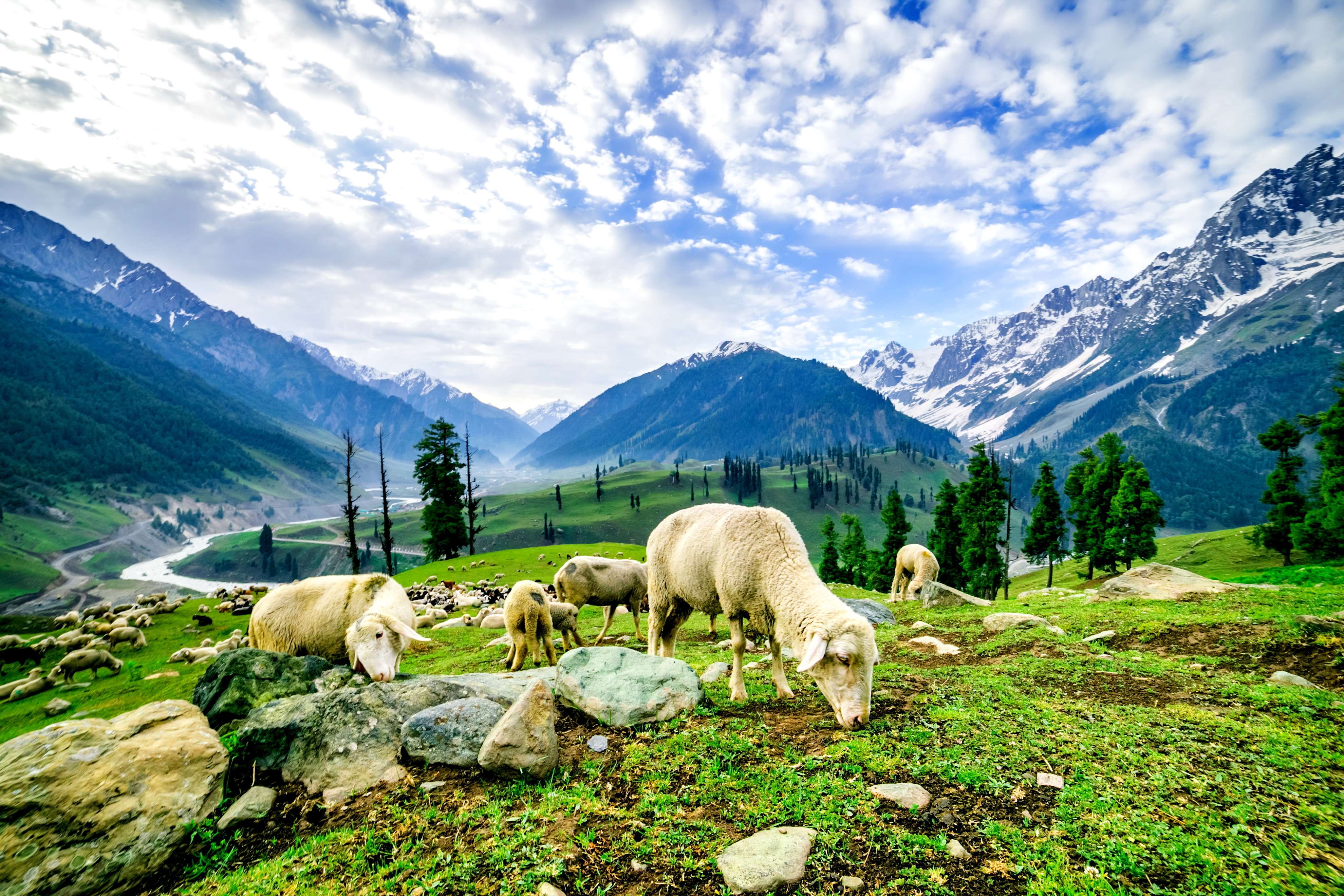 Gurez Valley, Bandipore