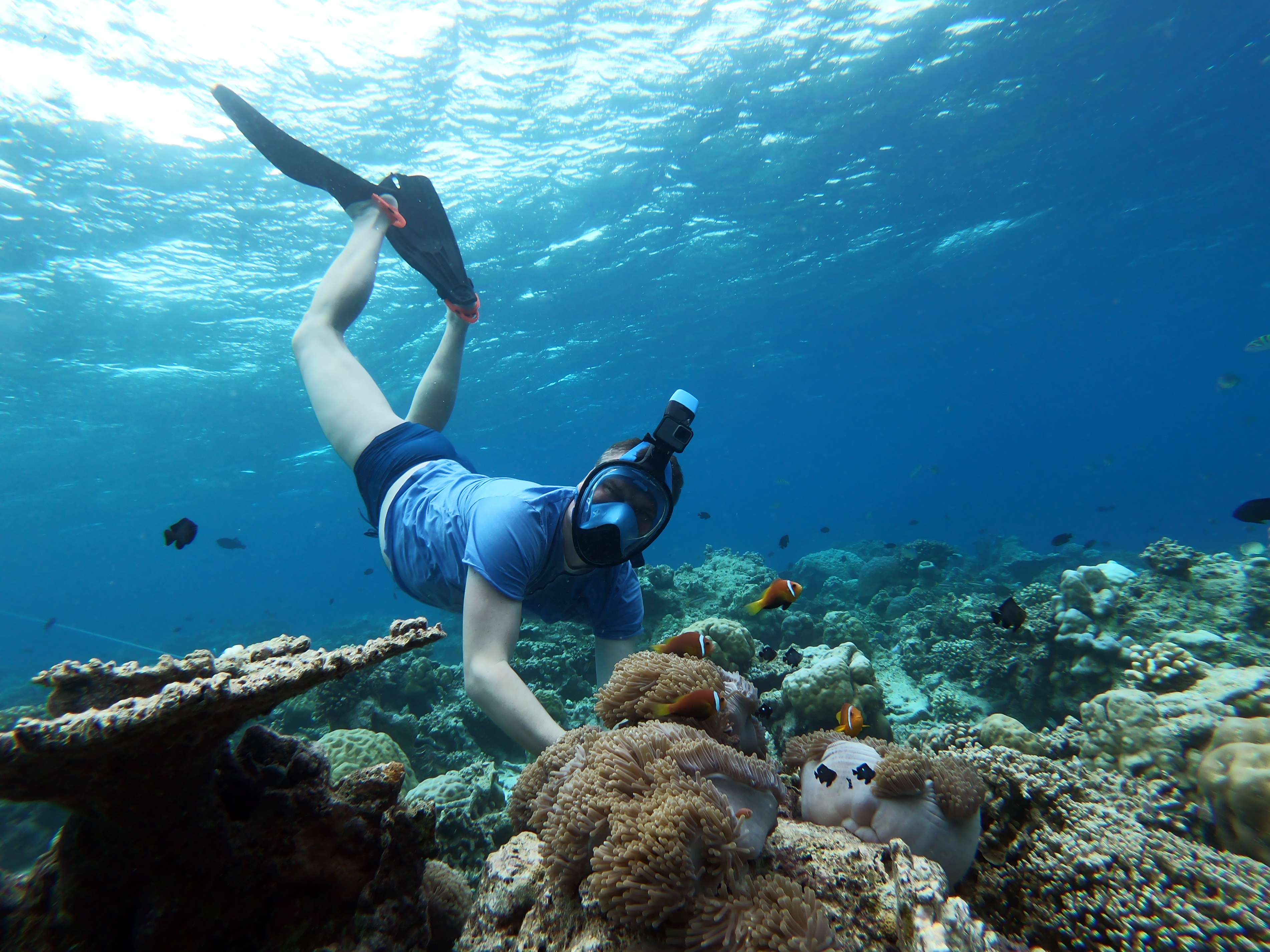 Snorkeling at Maafushi Island