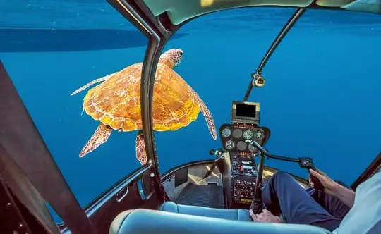 Whale Submarine tour in Maldives