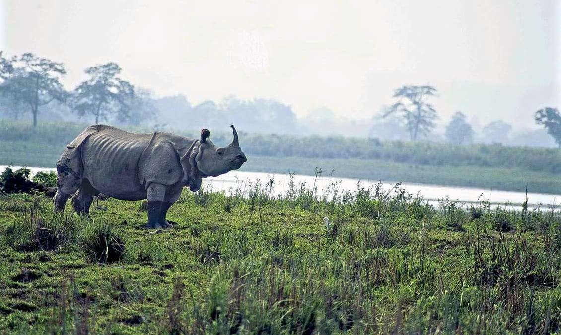 Intanki Wildlife Sanctuary