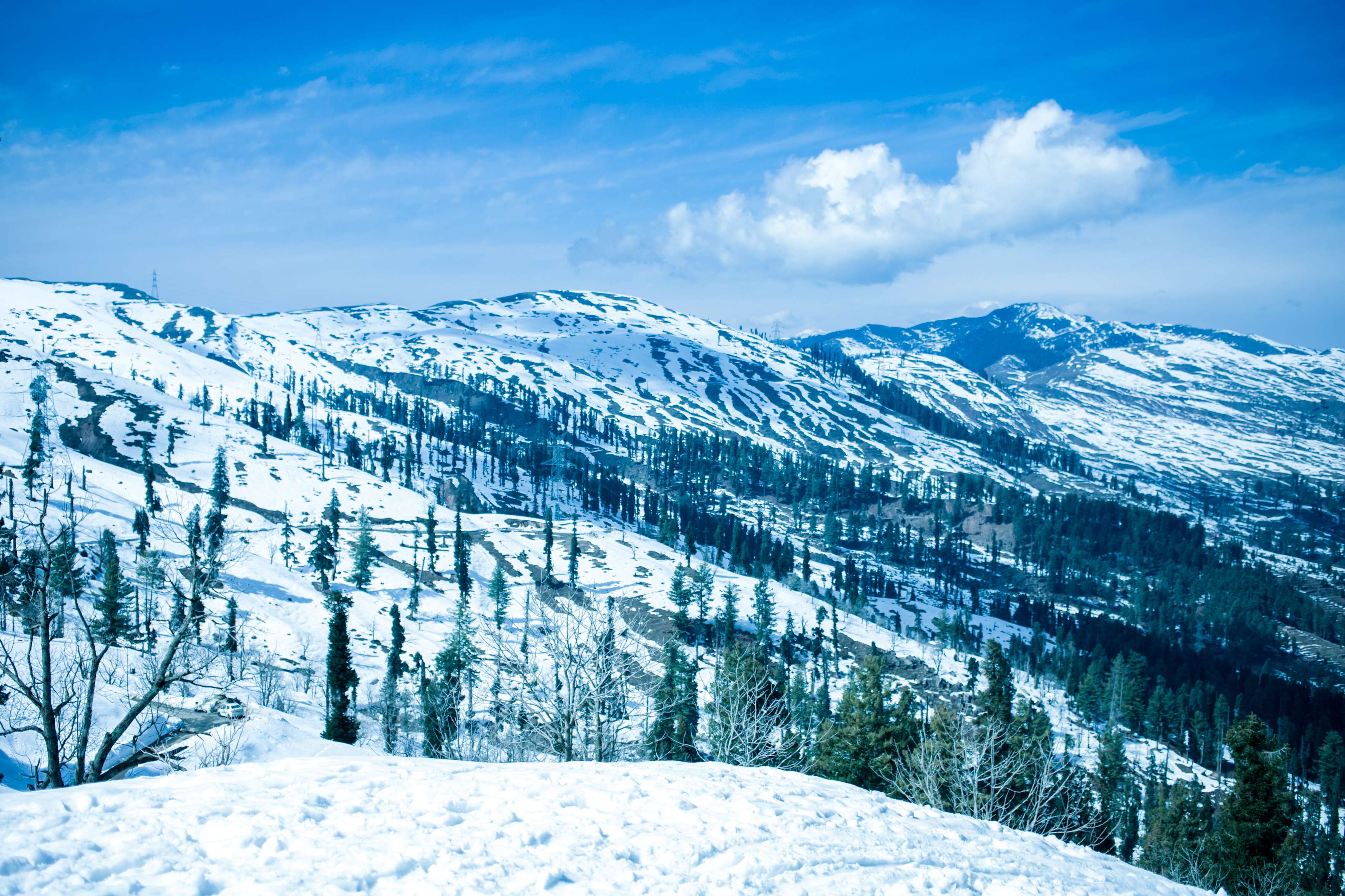 10 Places to Visit in Patnitop {{year}}, Tourist Places & Attractions