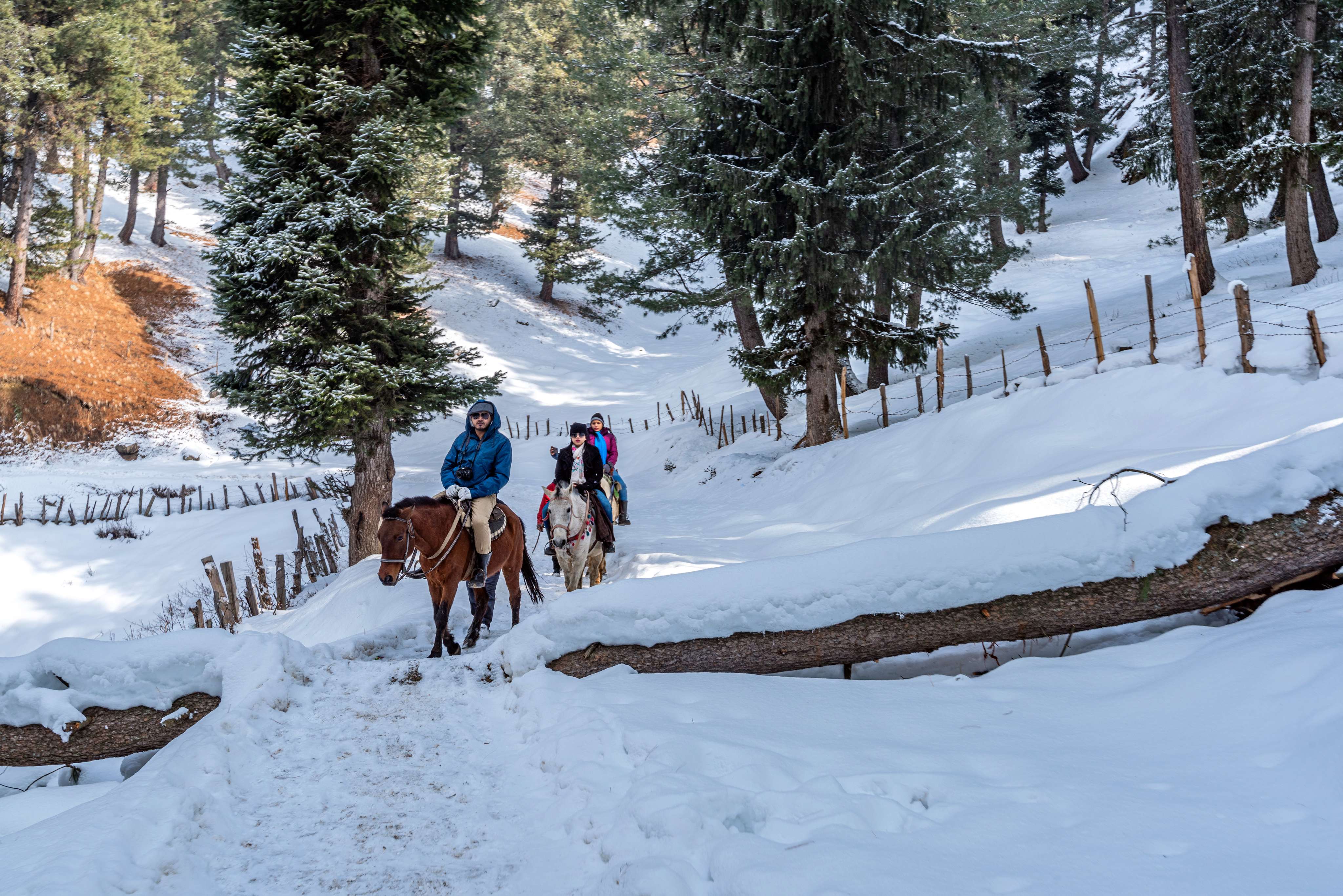 Pony Ride at Pahalgam