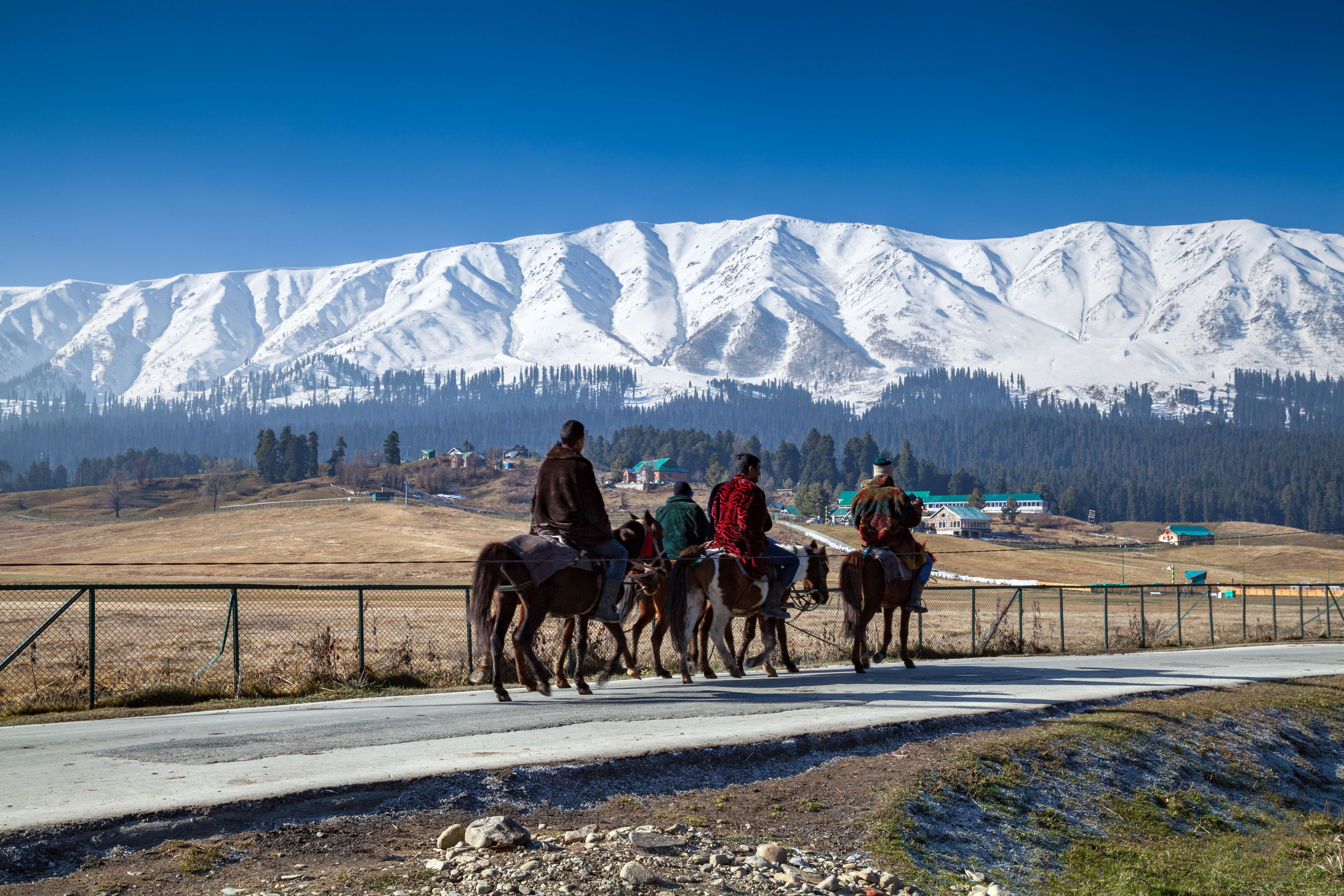 Horse Riding Adventure in Srinagar