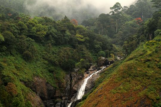 6 National Park in Kerala One Must Visit In {{year}}!