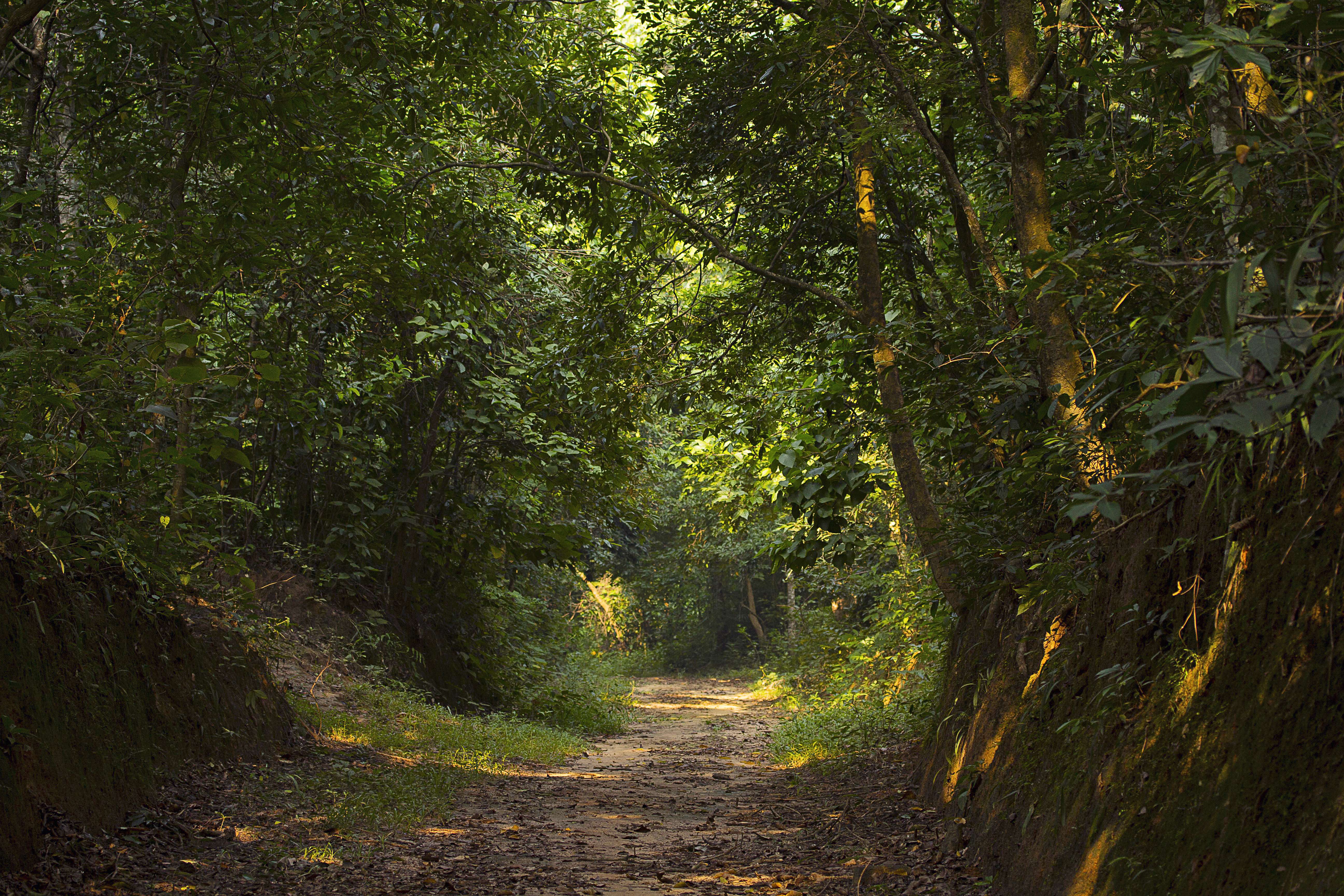 Trishna Wildlife Sanctuary