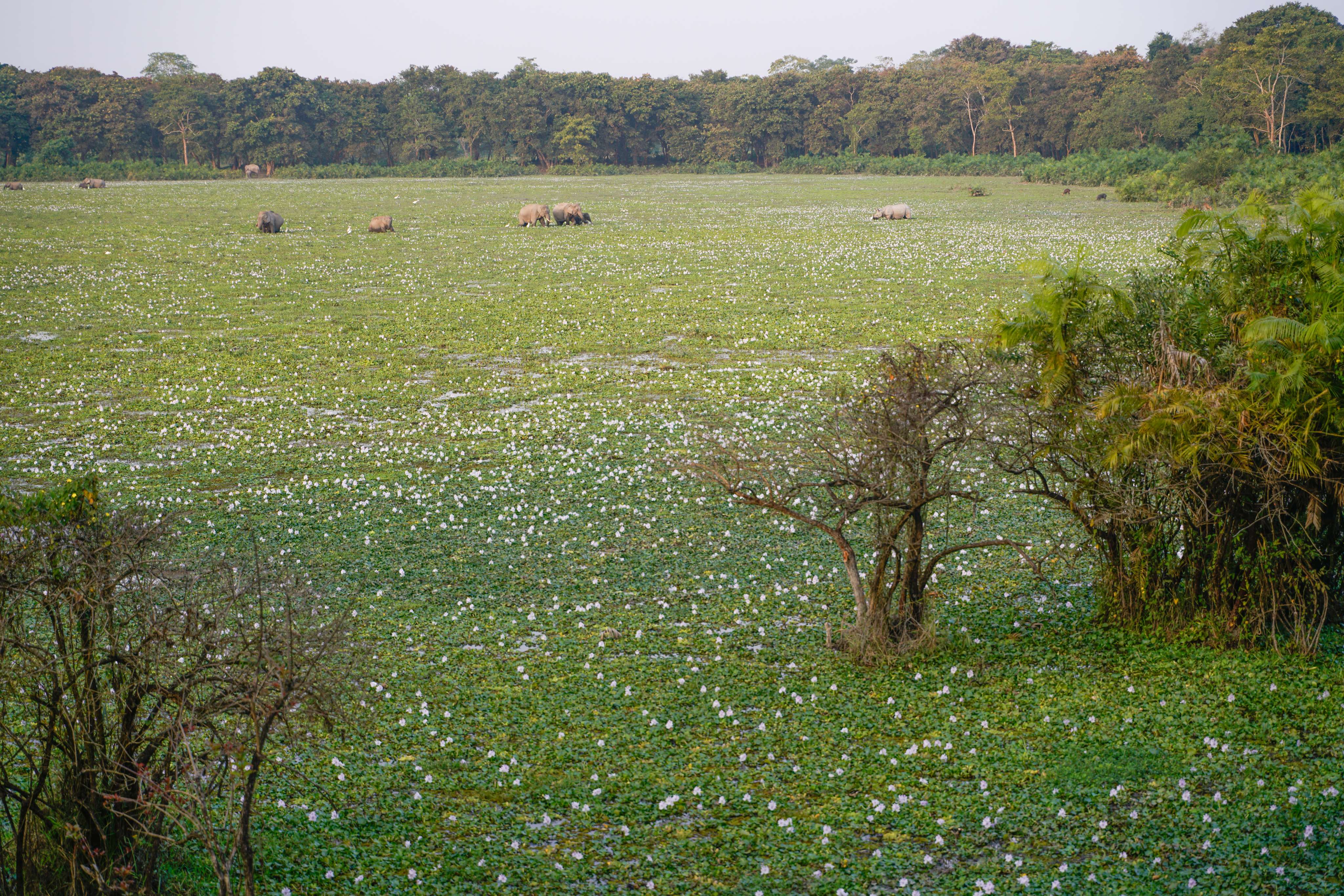 Murlen National Park