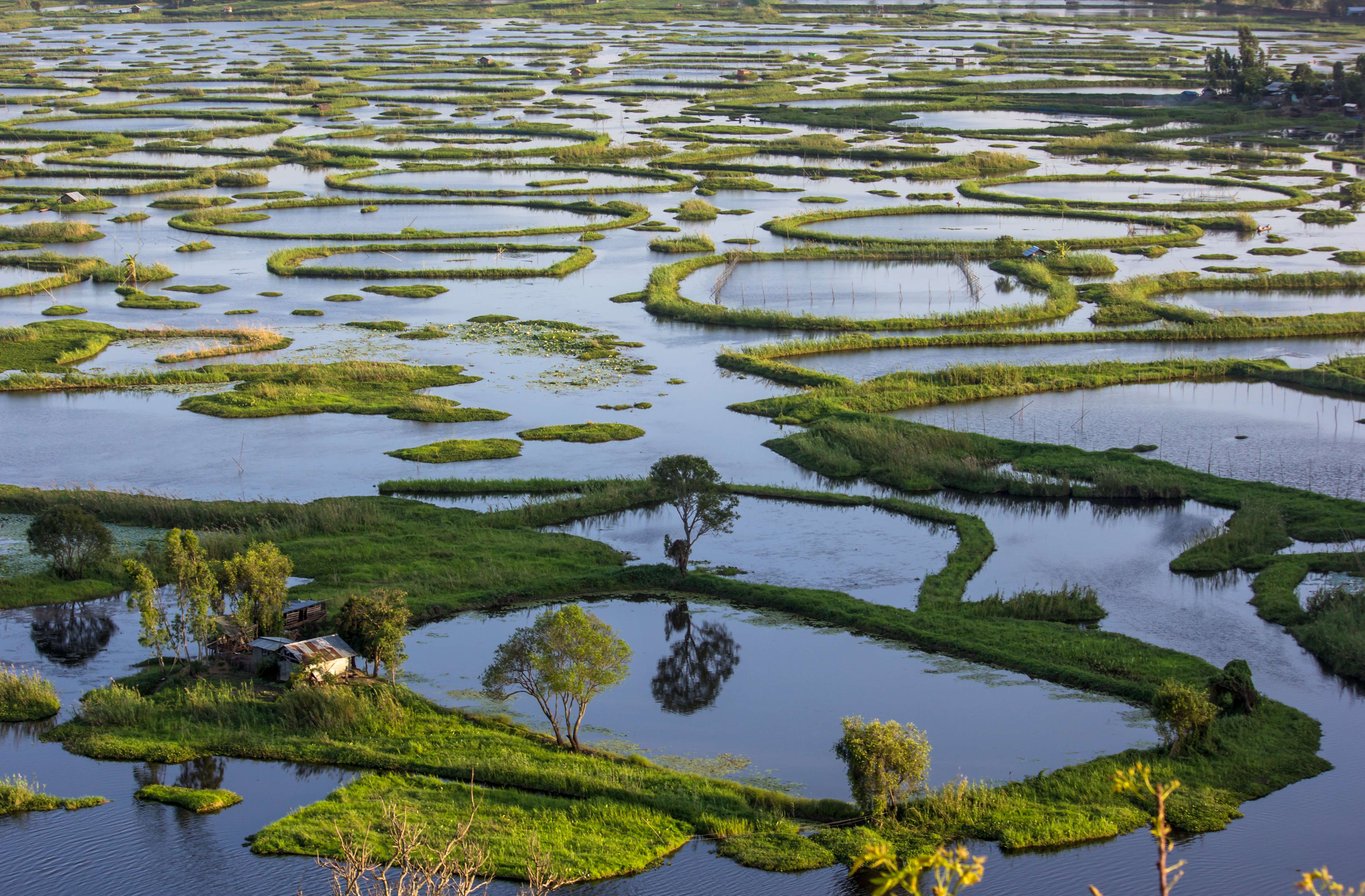 Loktak Lake