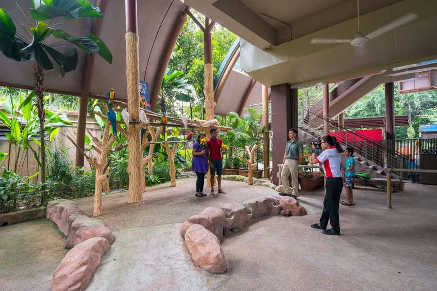 Enjoy Camping with your family