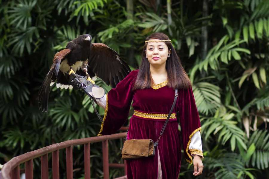 Meet Mighty creatures at King of the Skies Show