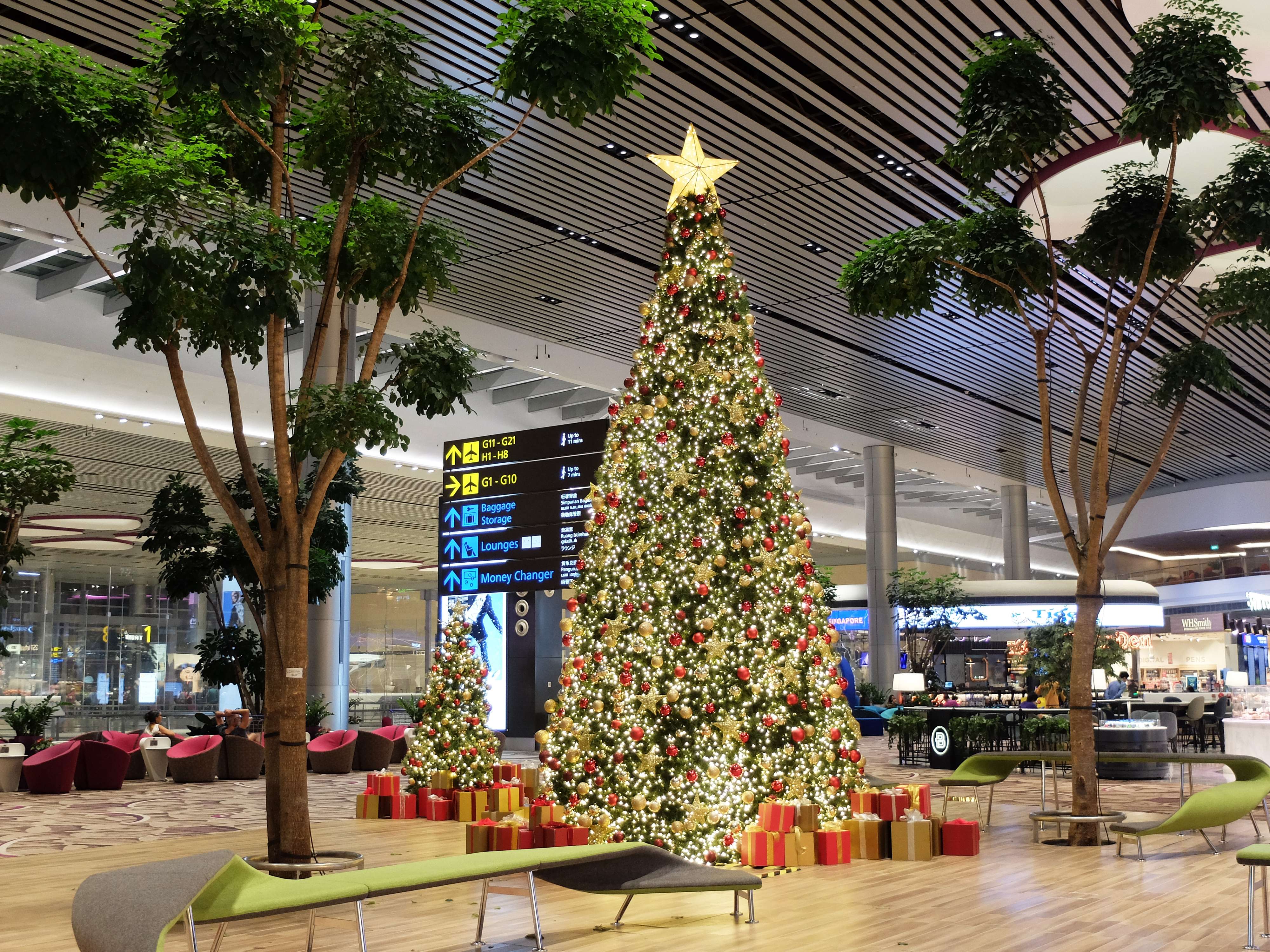 Check out the lights at Jurassic Mile and Changi Airport Connector 