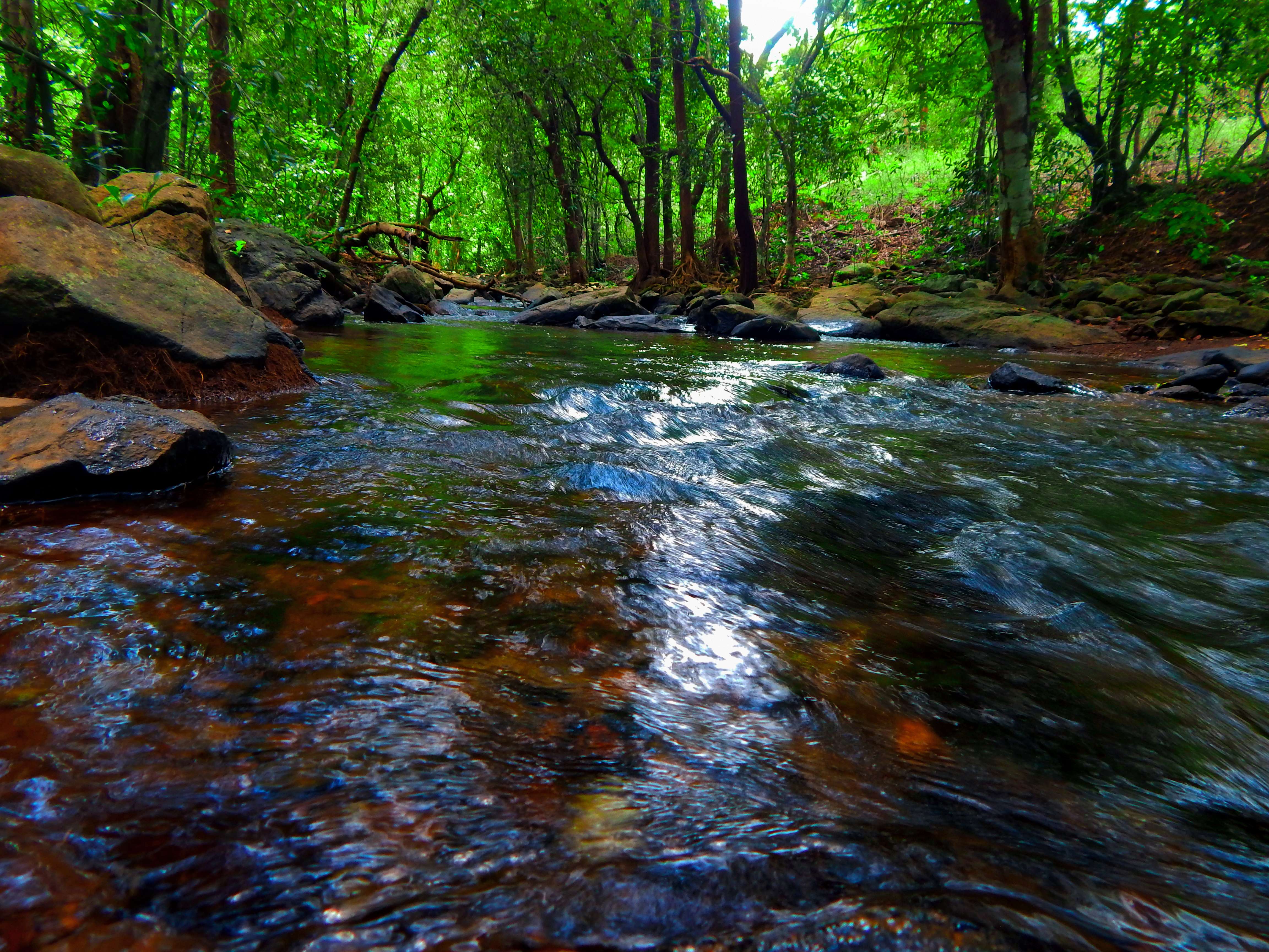 Bondla Wildlife Sanctuary