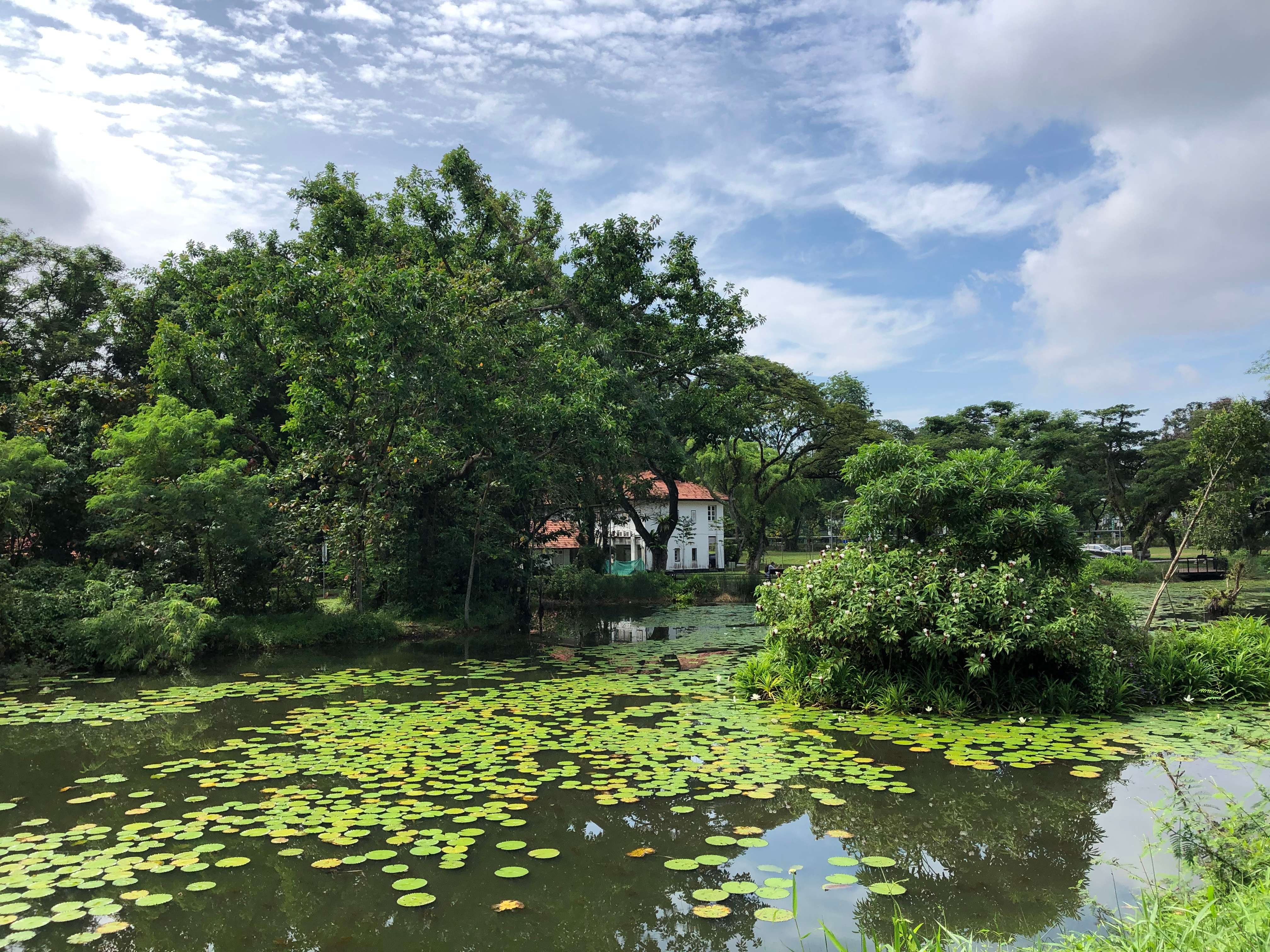 Hampstead Wetlands Park