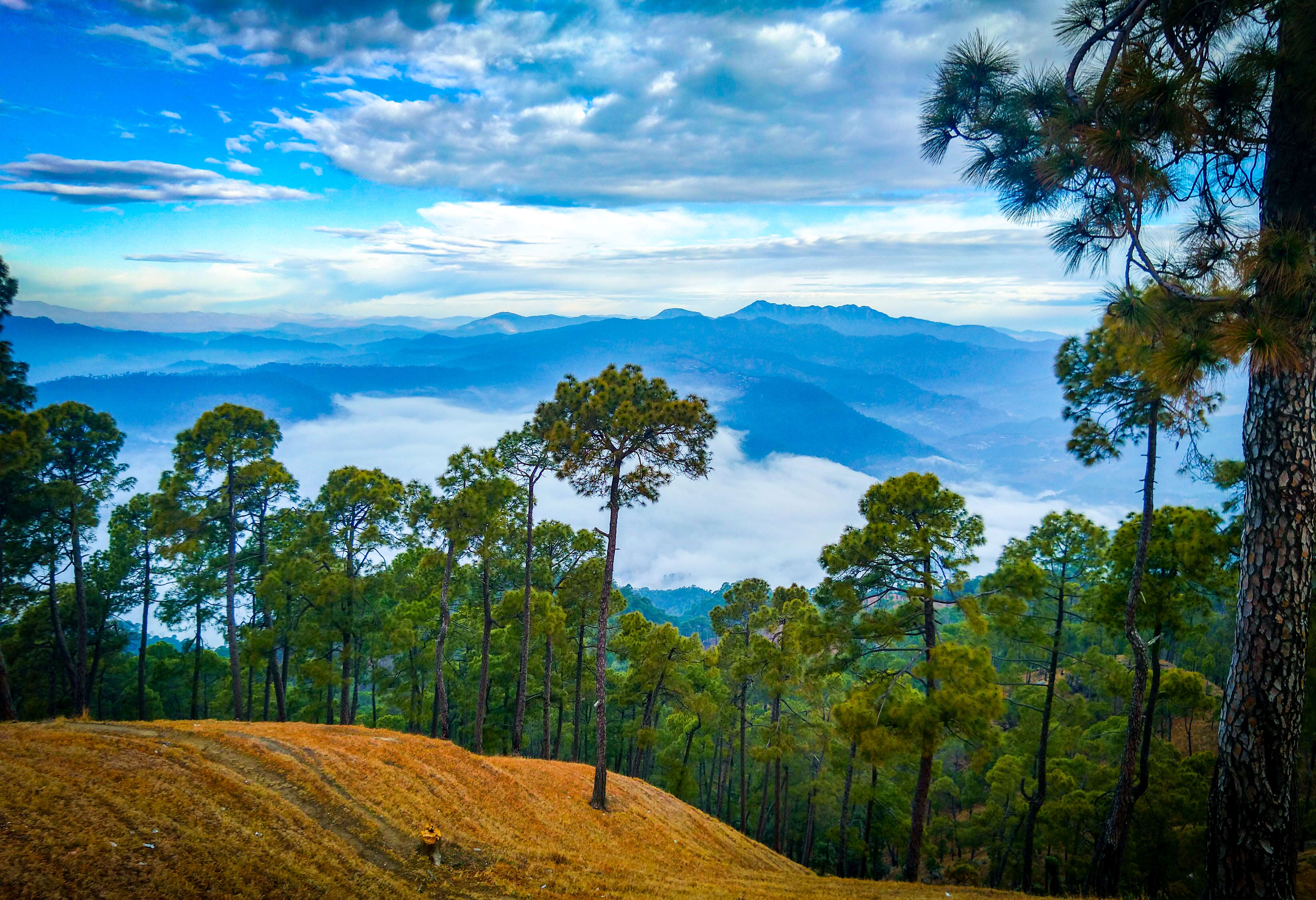 Ranikhet
