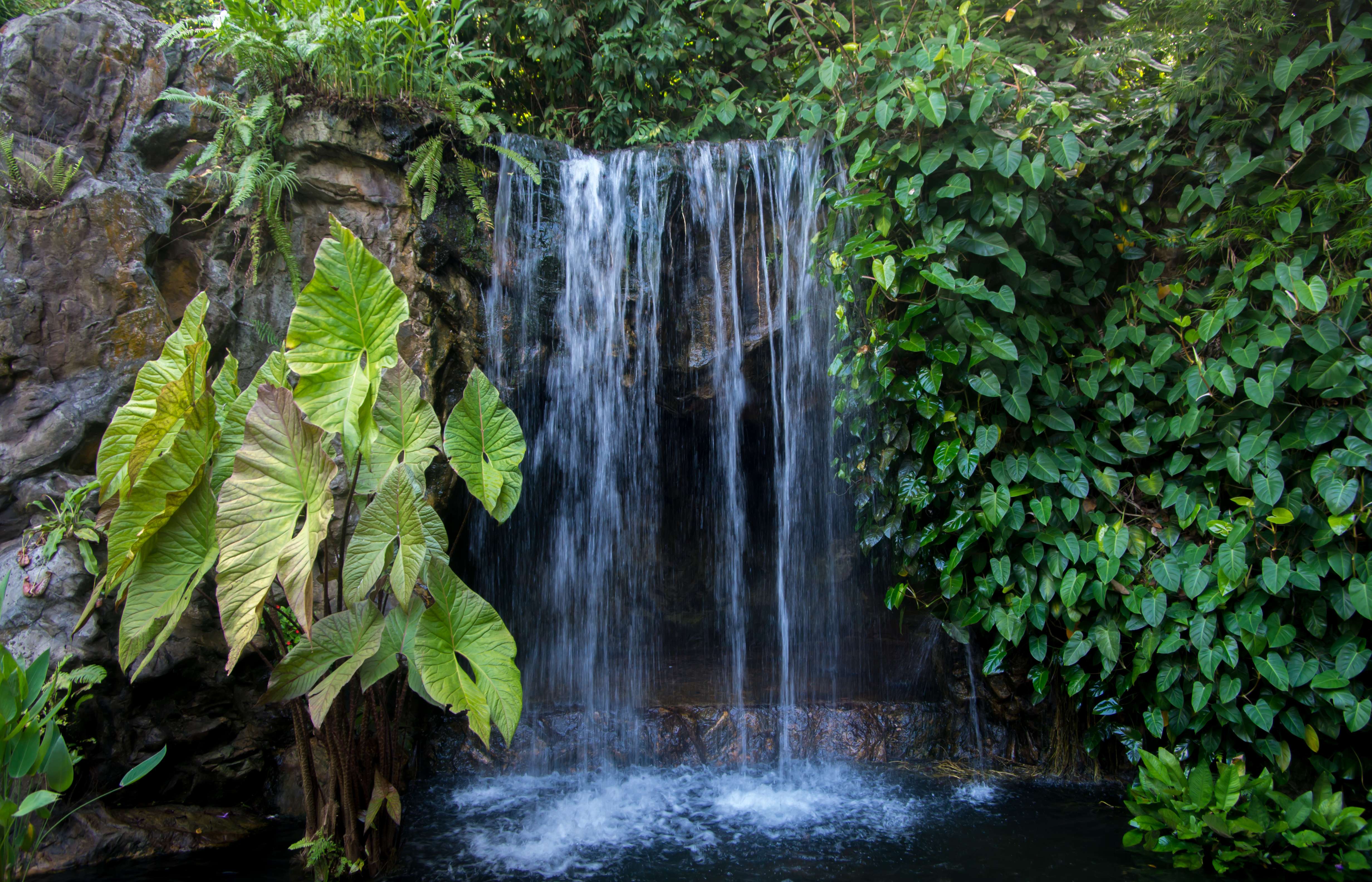 Witness Stunning waterfalls at Ginger Garden