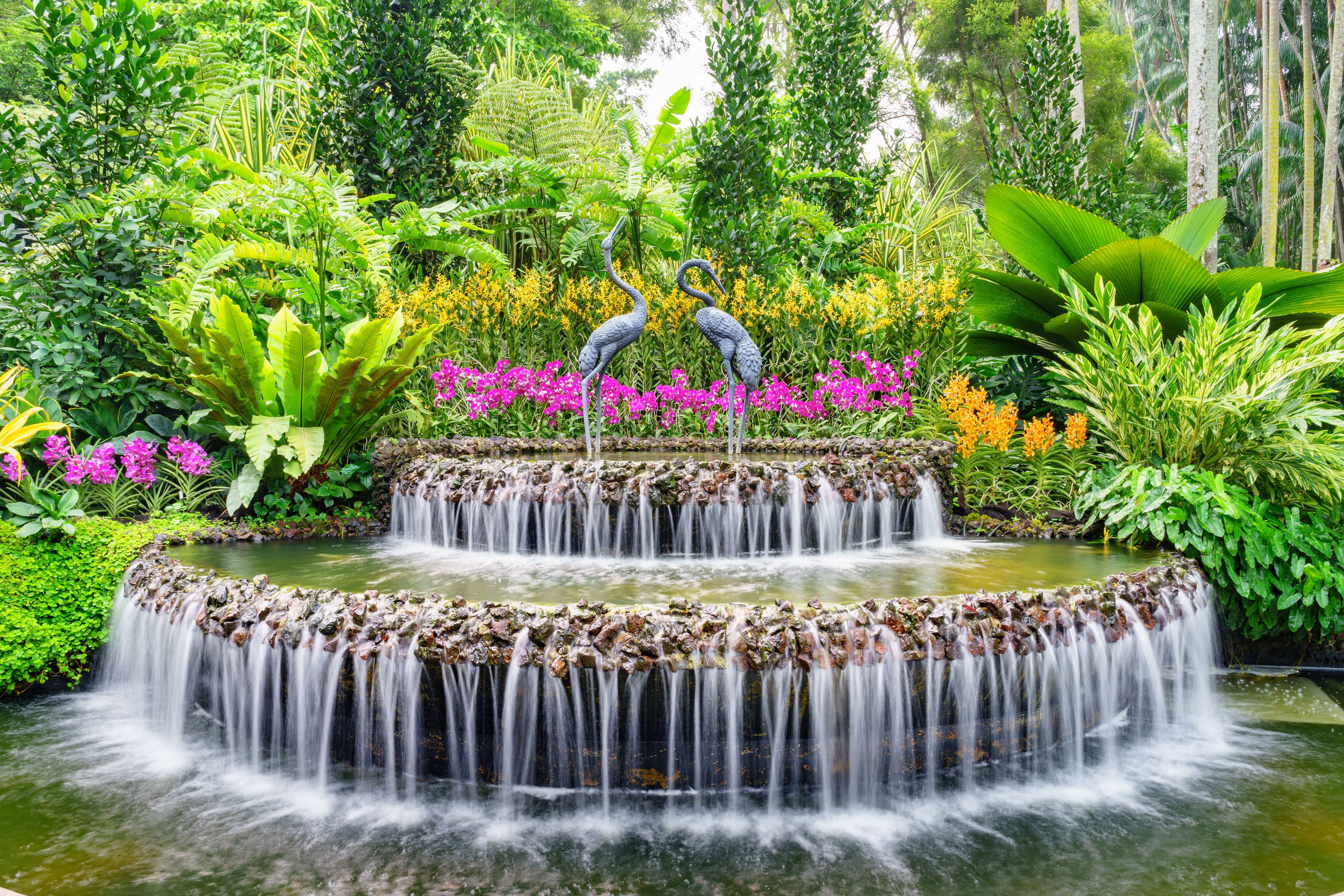 Experience the greenery of the National Orchid Garden