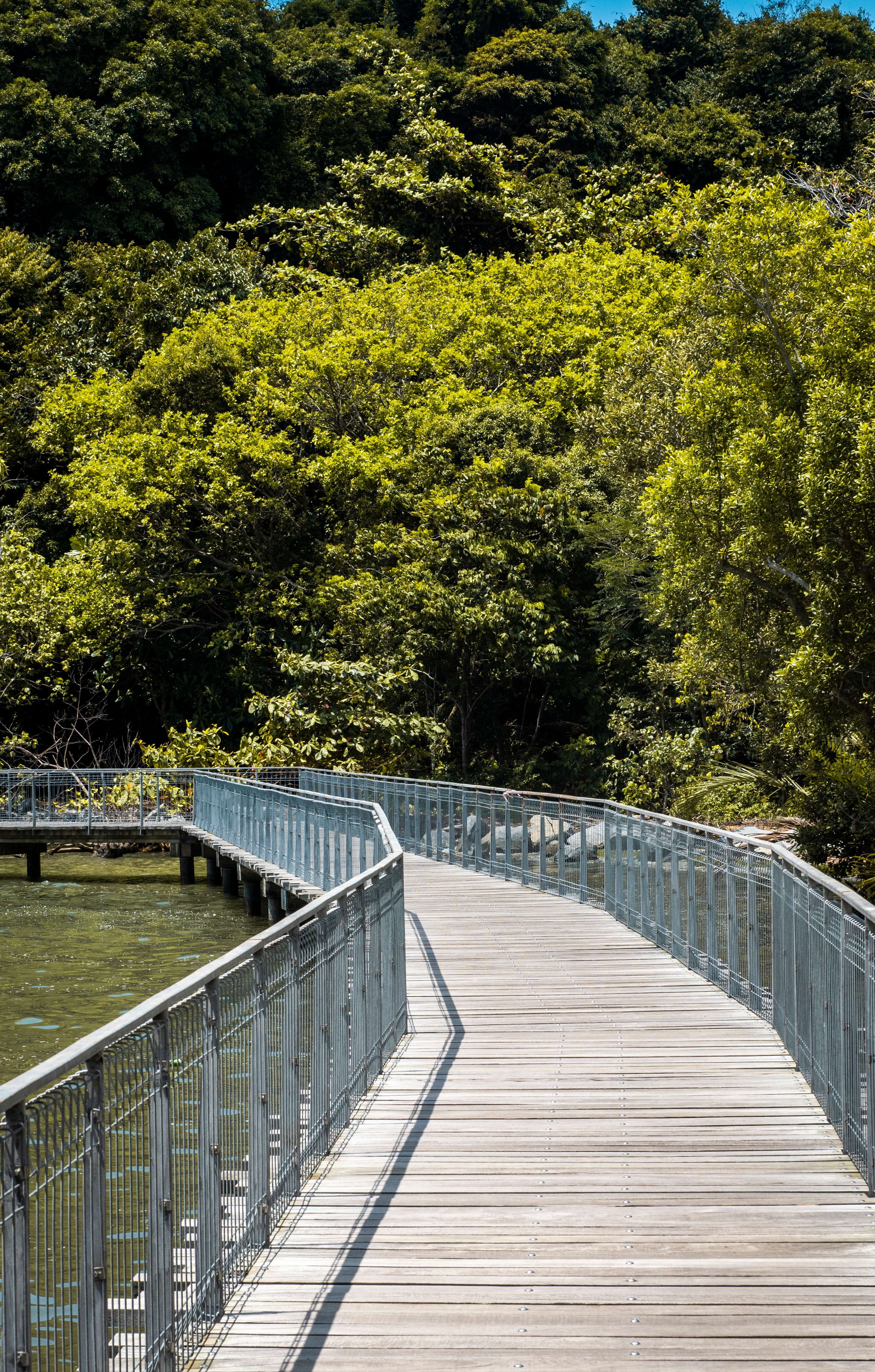 Singapore Quarry Wetland
