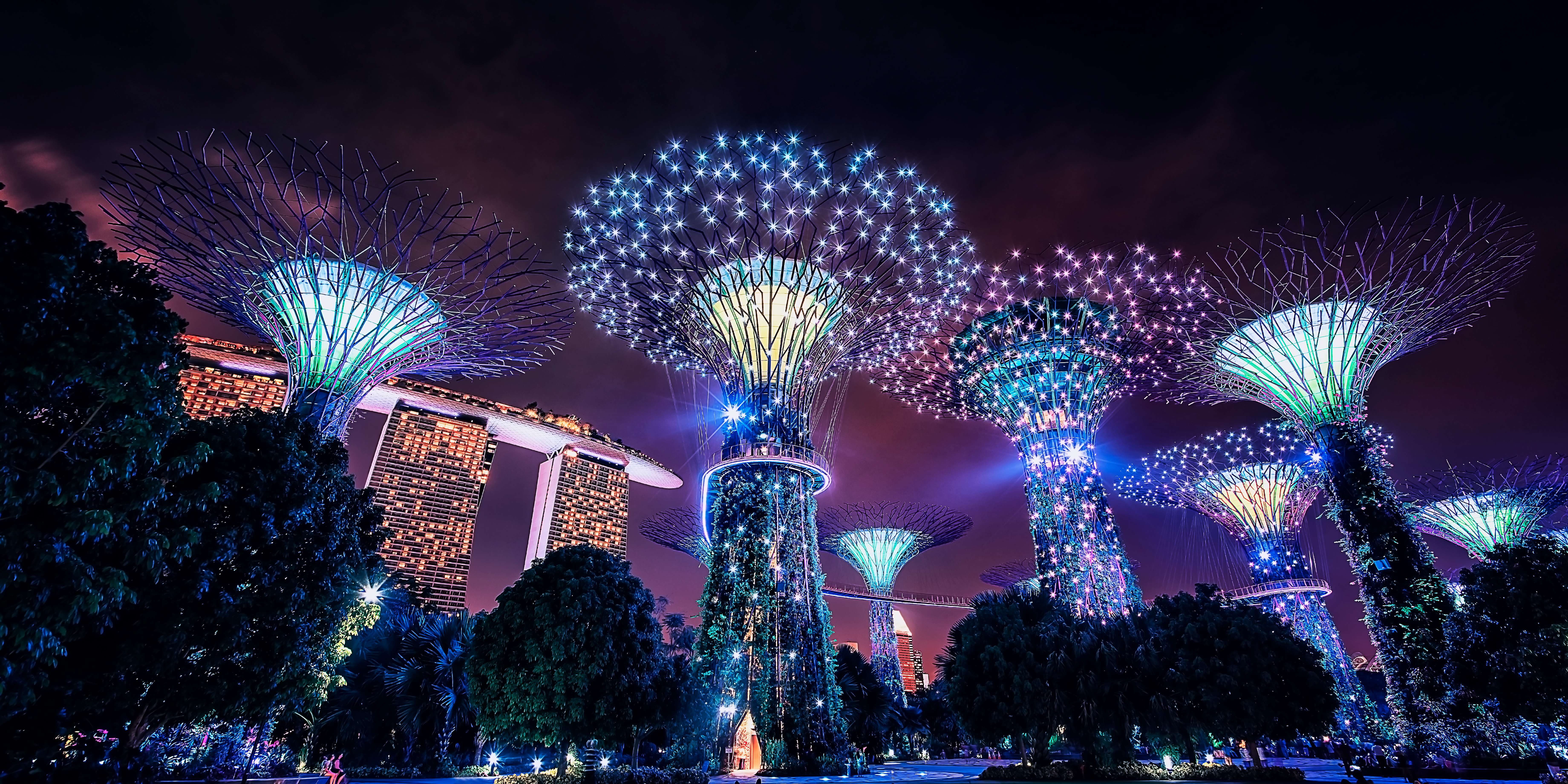 Witness the Beautiful Gardens by the Bay