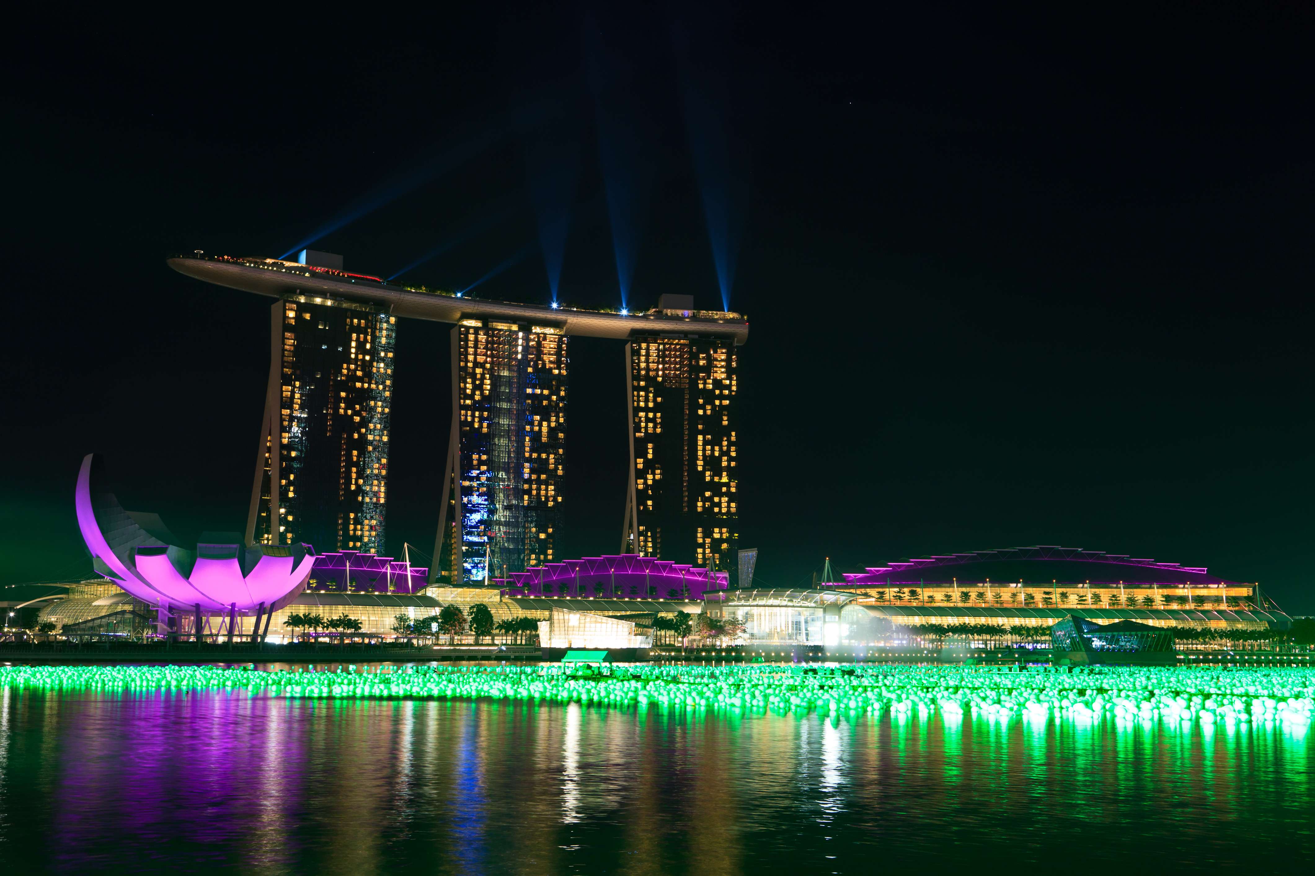 Make Friends at River Wonders