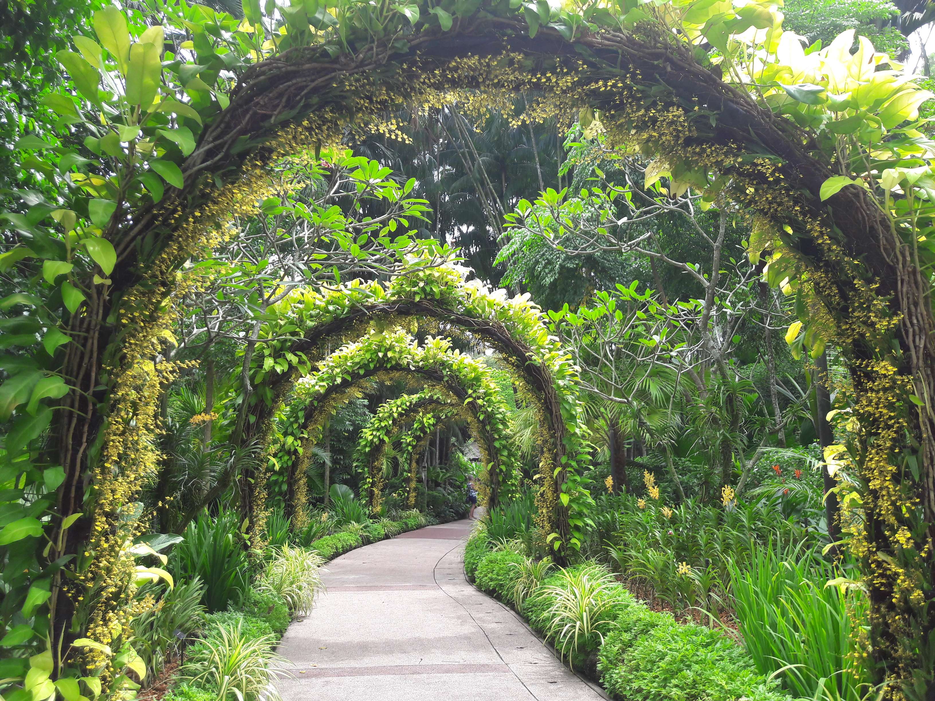 Ang Mo Kio Town Garden