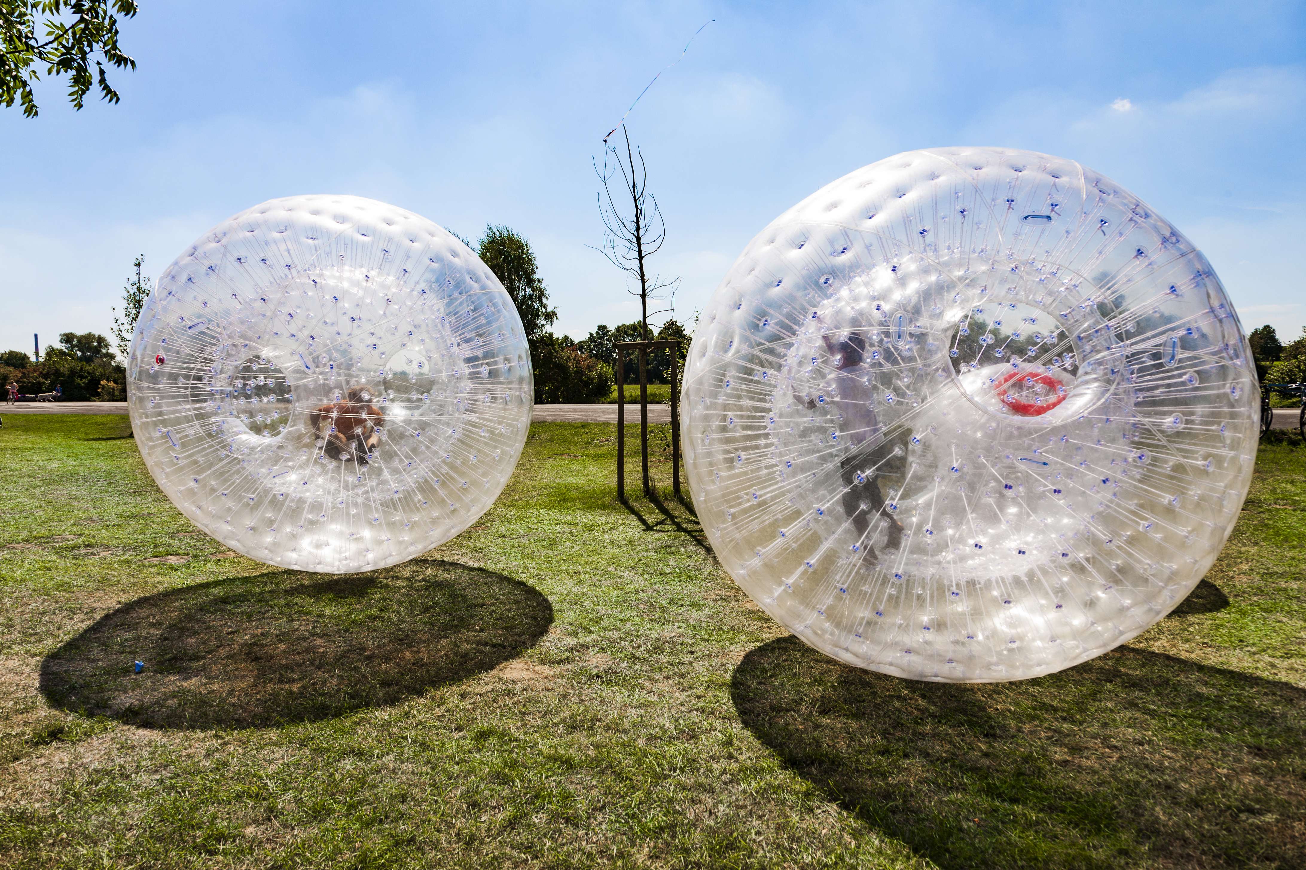 Try Zorbing at Old Holland Road