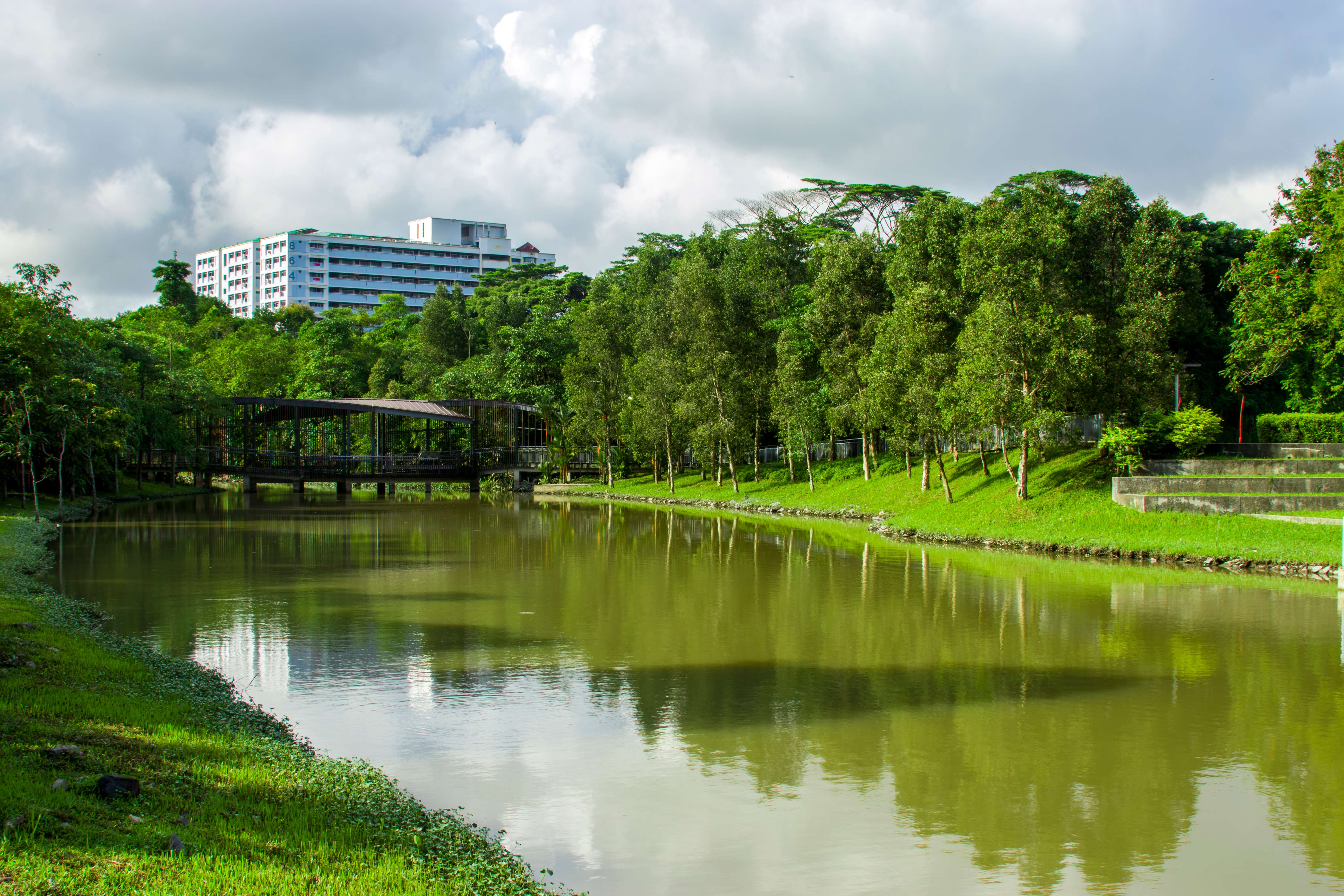 Stroll at Jurong Eco-Garden