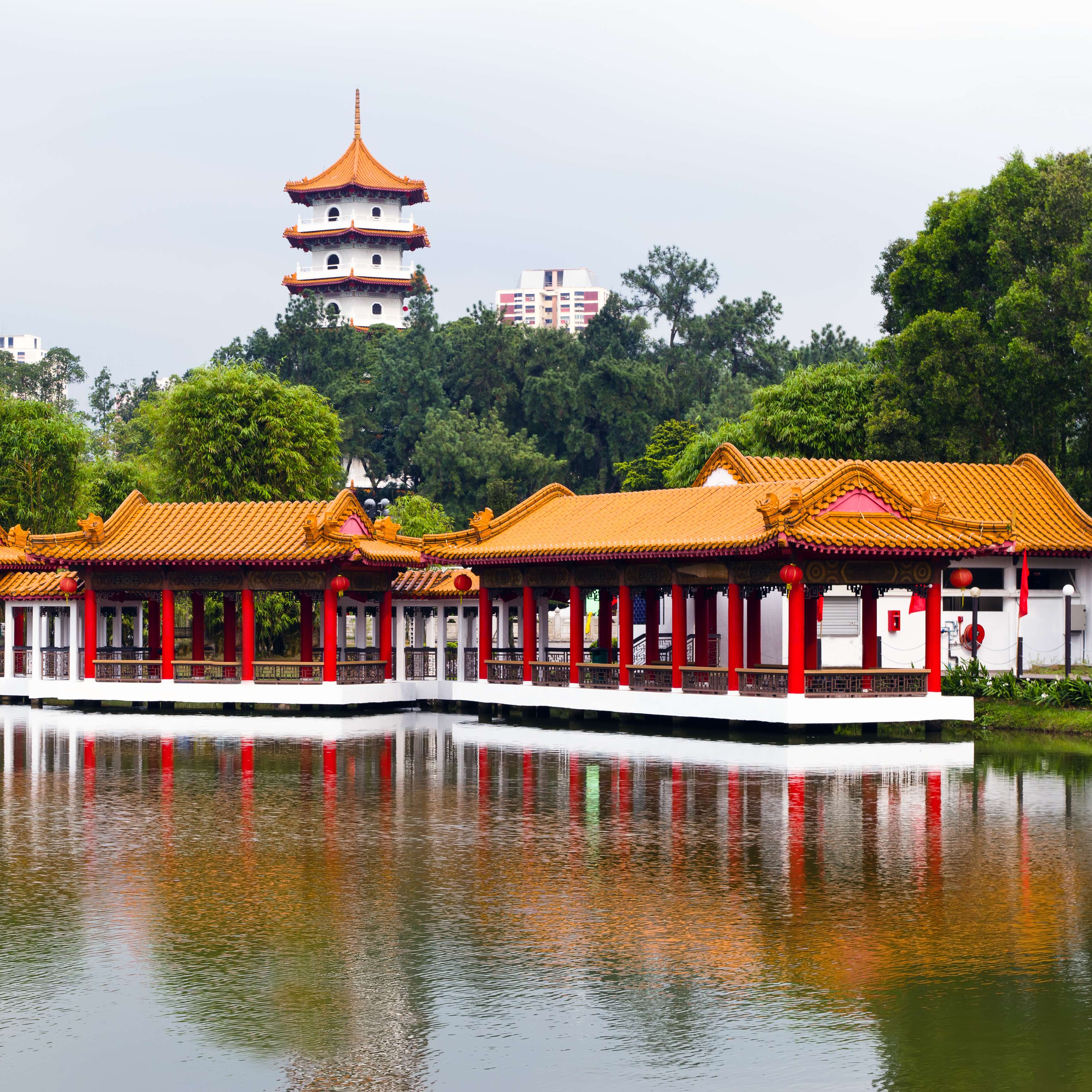 Make Yourself Calm at Chinese and Japanese Gardens 