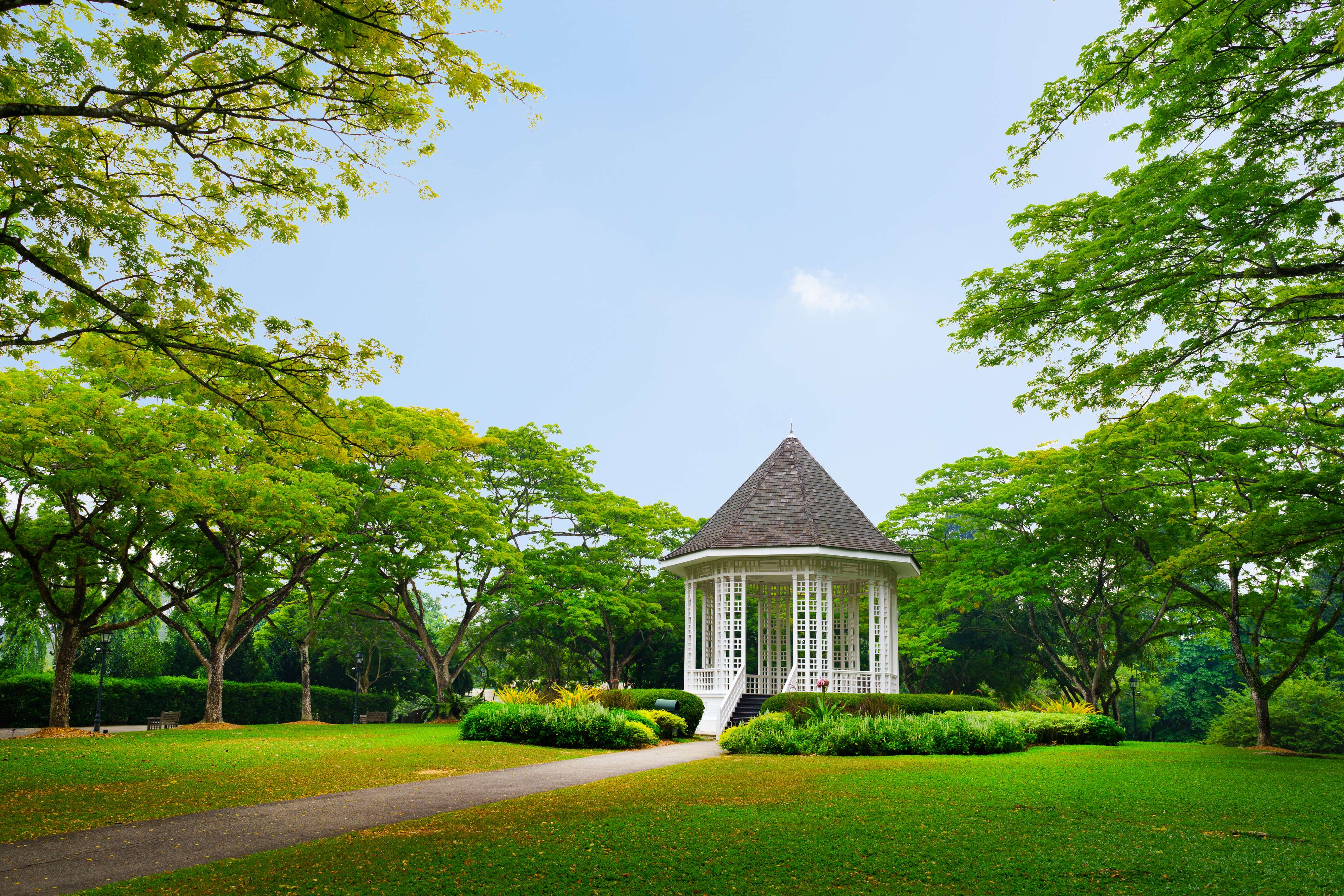 Capture the Splendid View of Singapore Botanic Gardens