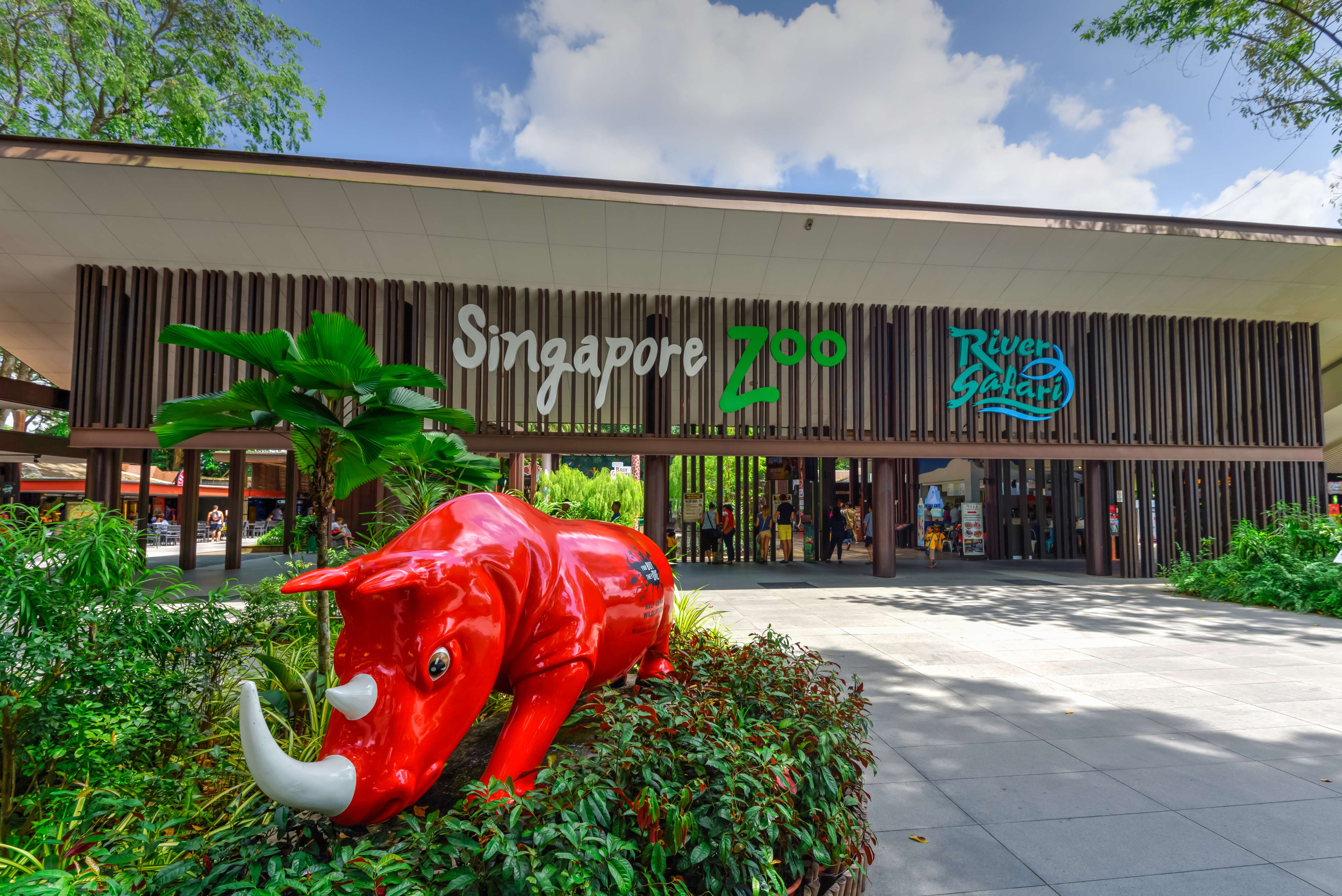  Feed the Animals at Singapore Zoo