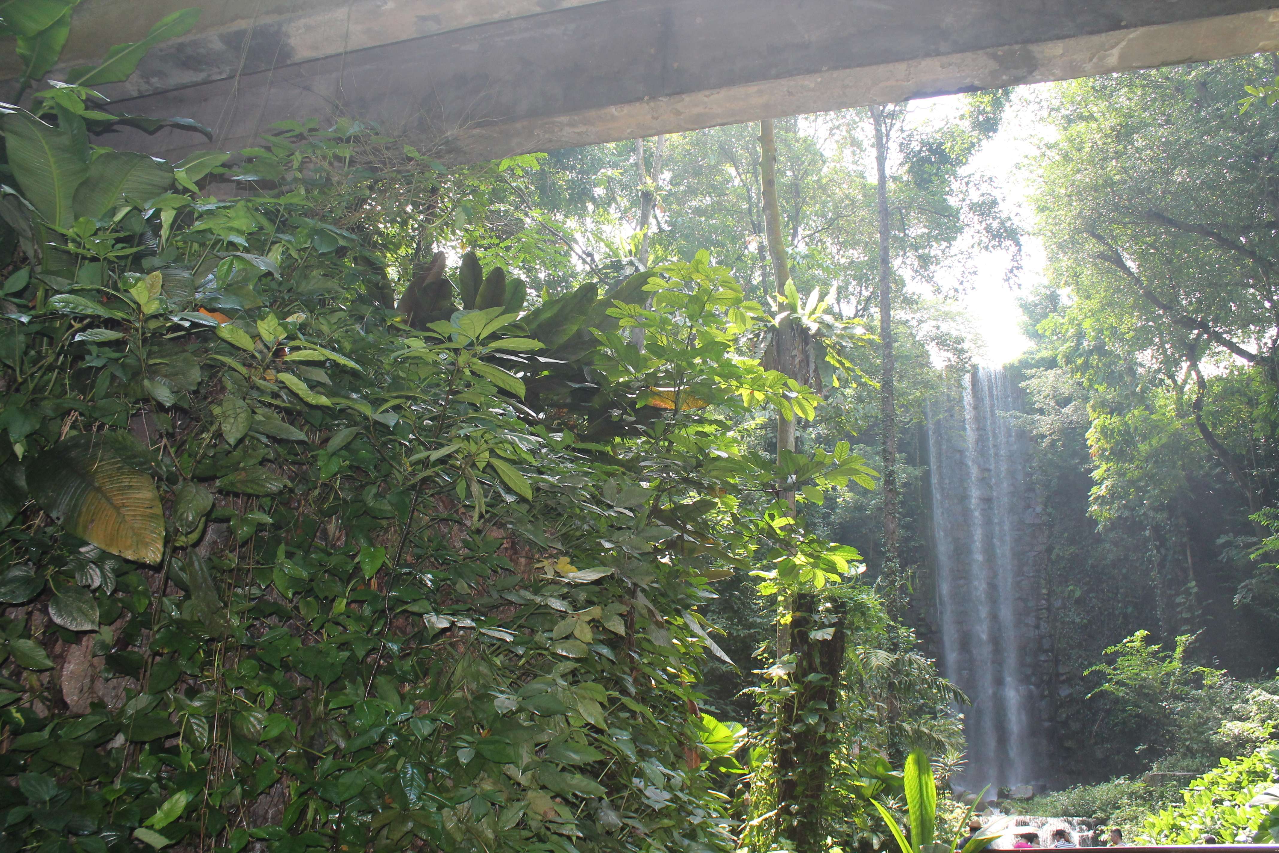  Visit the River Wonders Zoo