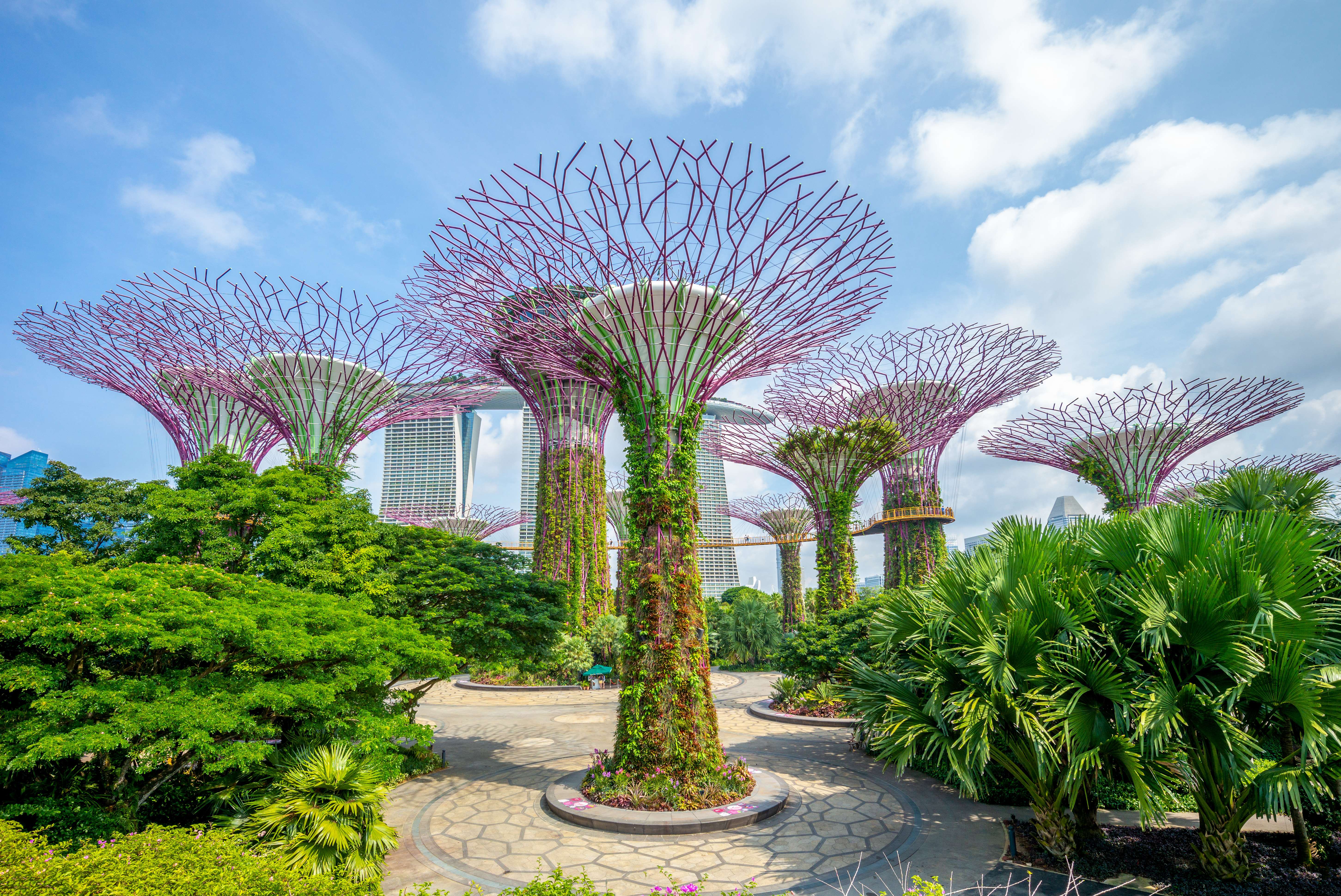 Garden by the Bay