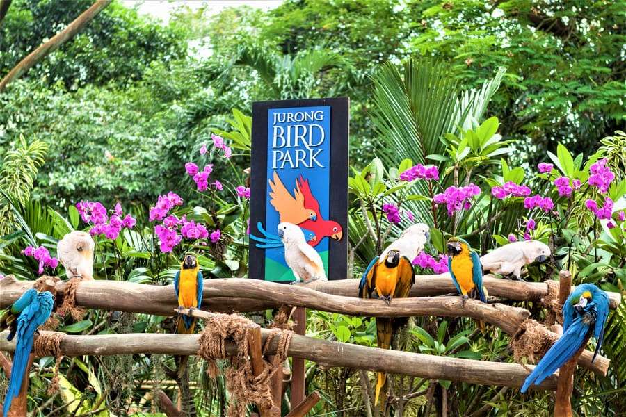 Jurong Bird Park