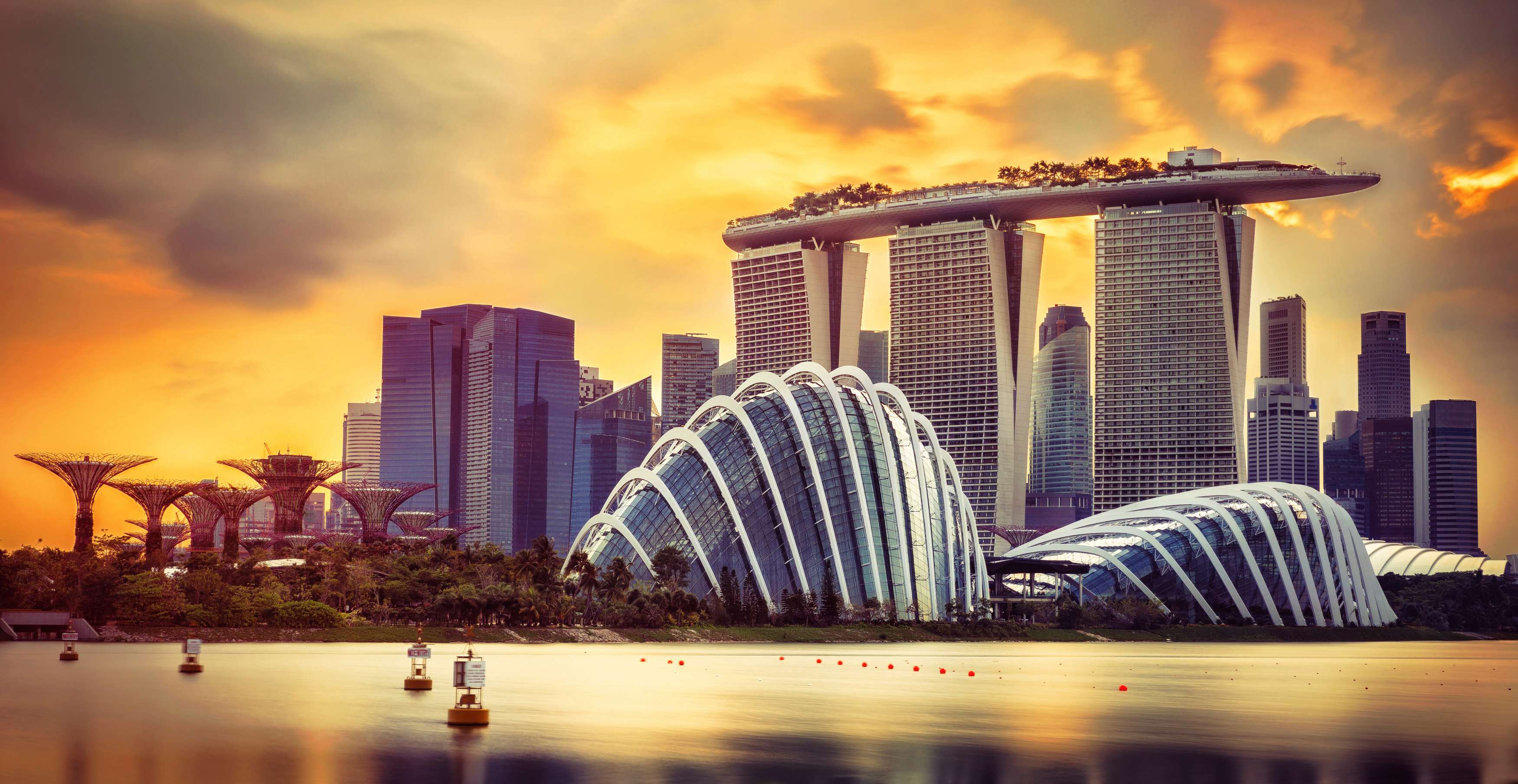 Witness the Enchanting World of Gardens by the Bay 