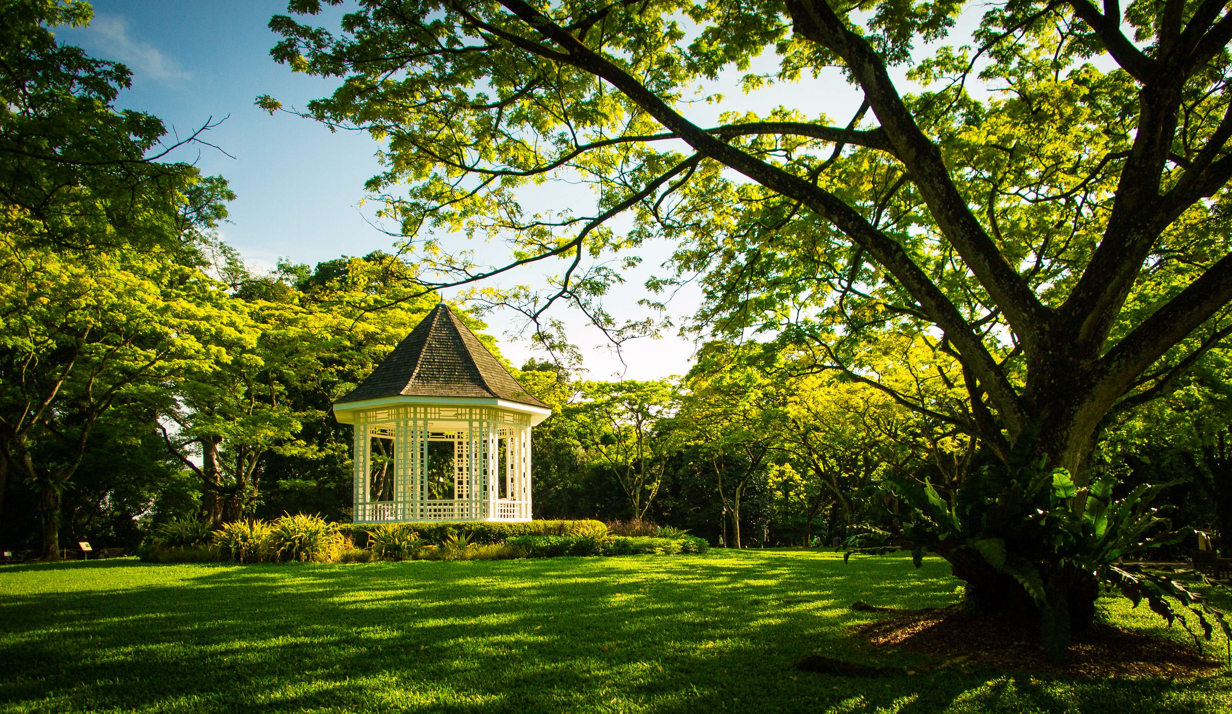 Unwind at the Singapore Botanic Garden 