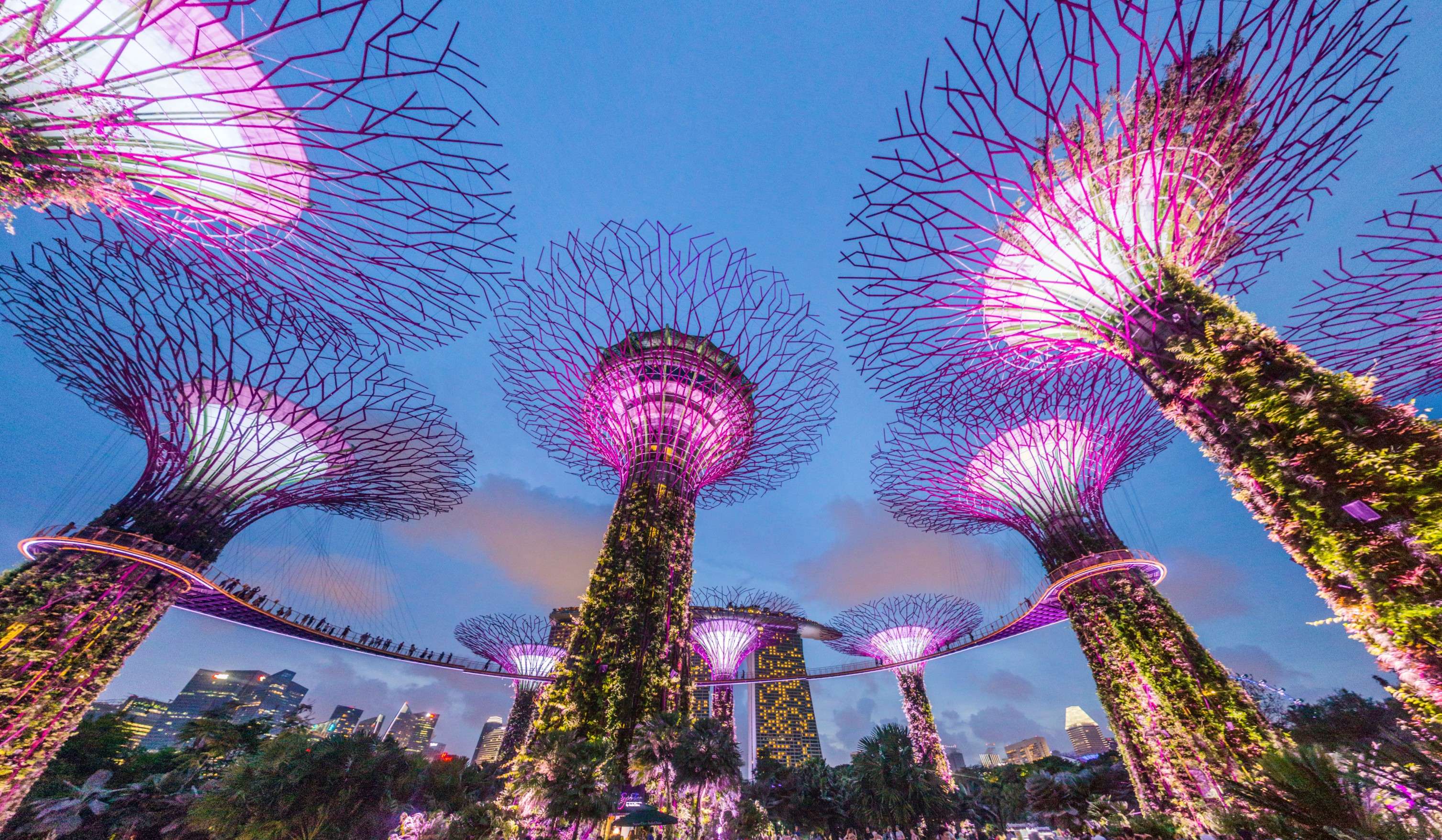 Gardens By the Bay